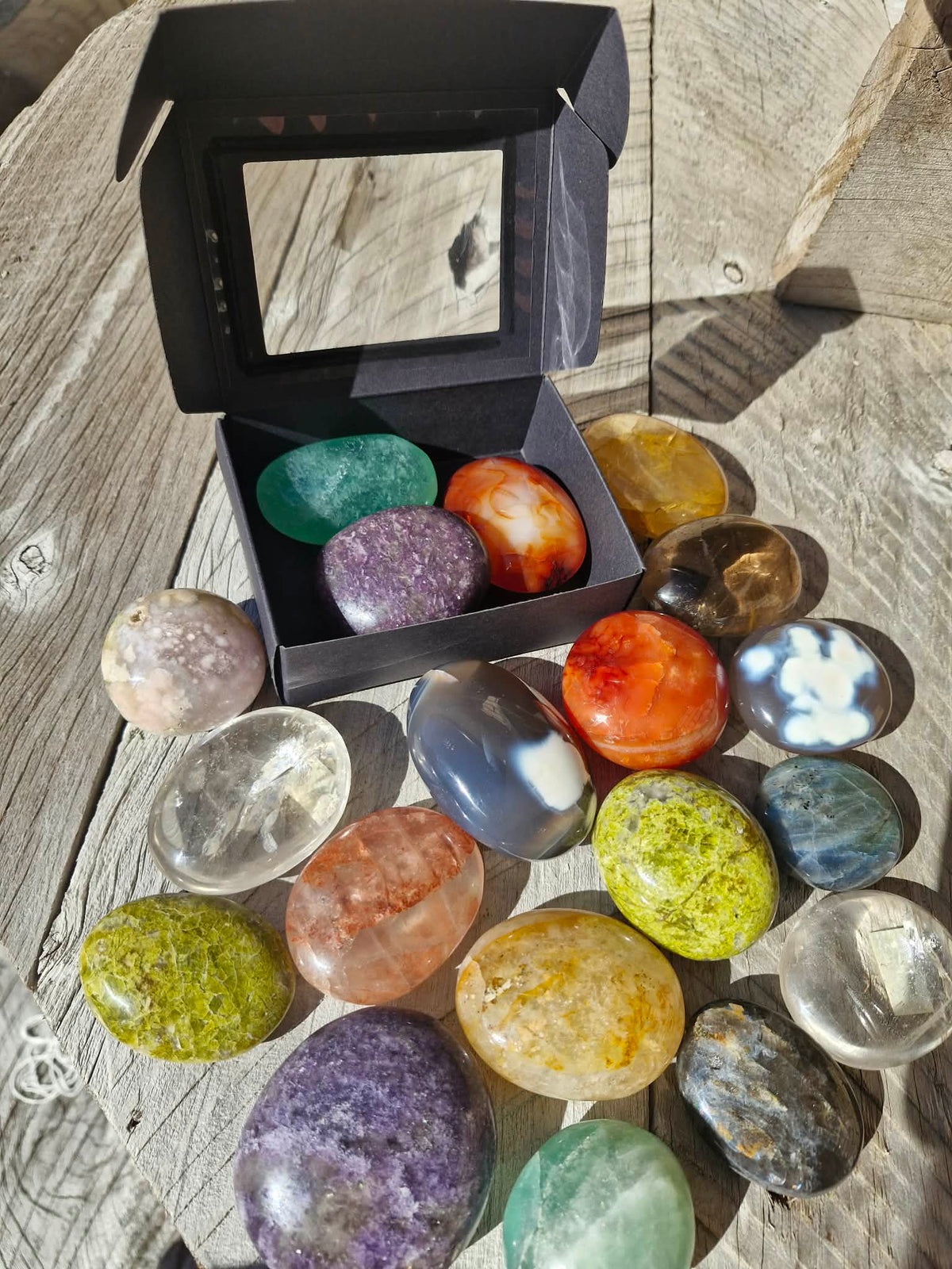 Melissa’s Pick — 3 Crystal Palms for $25