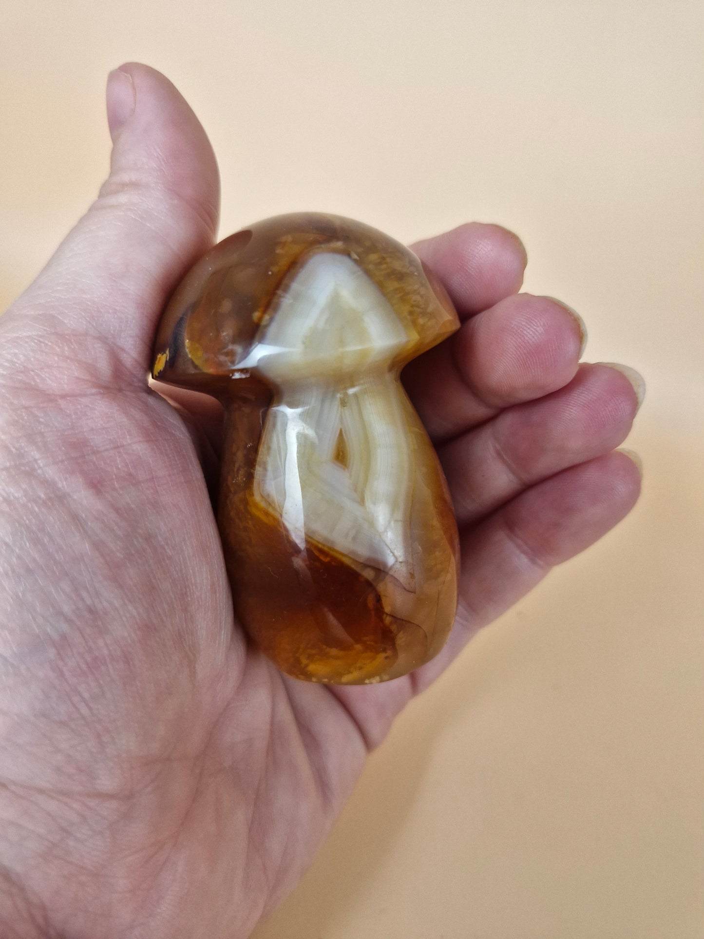 Carnelian Mushroom (code CM)