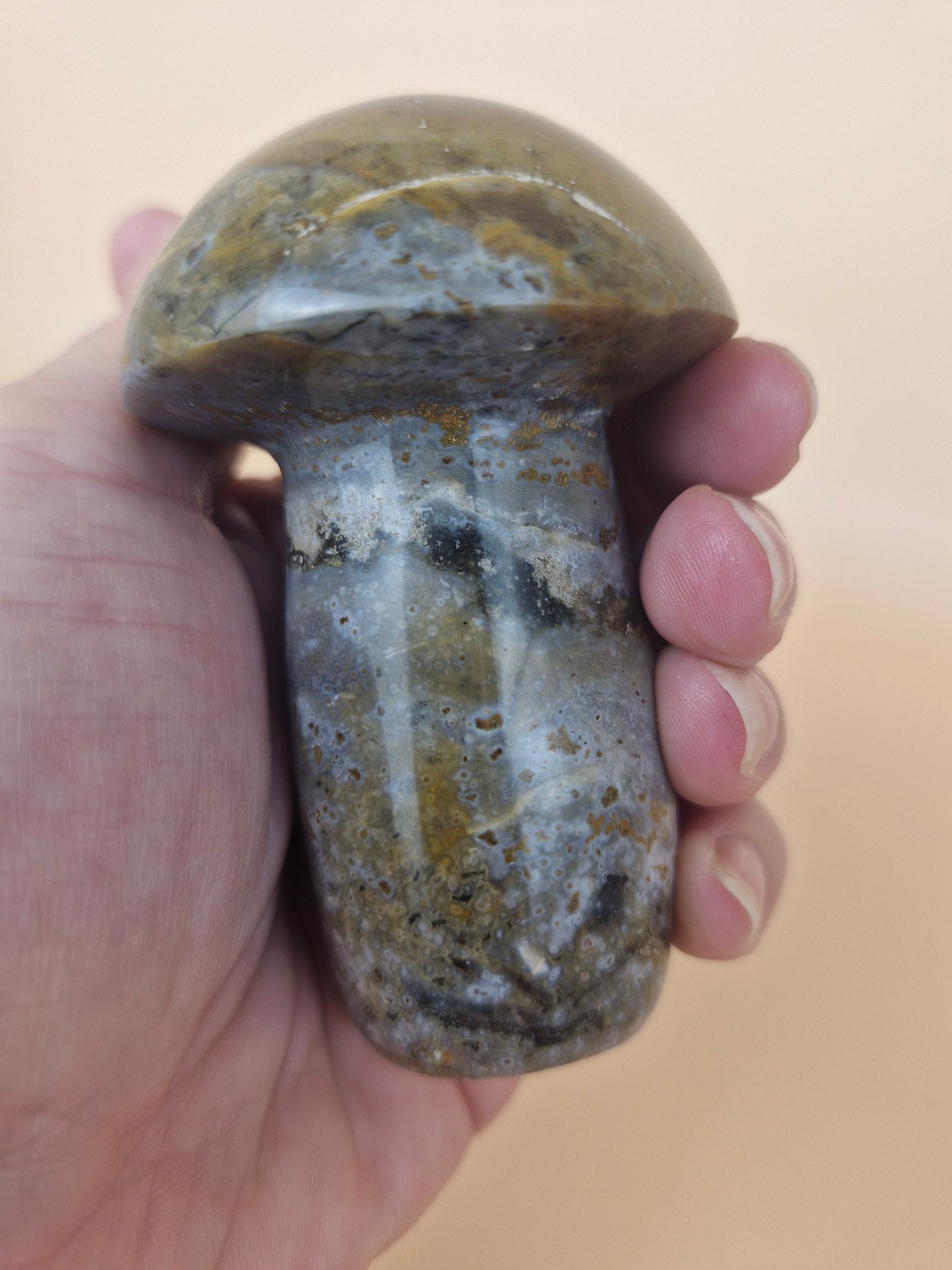 Ocean Jasper Mushroom