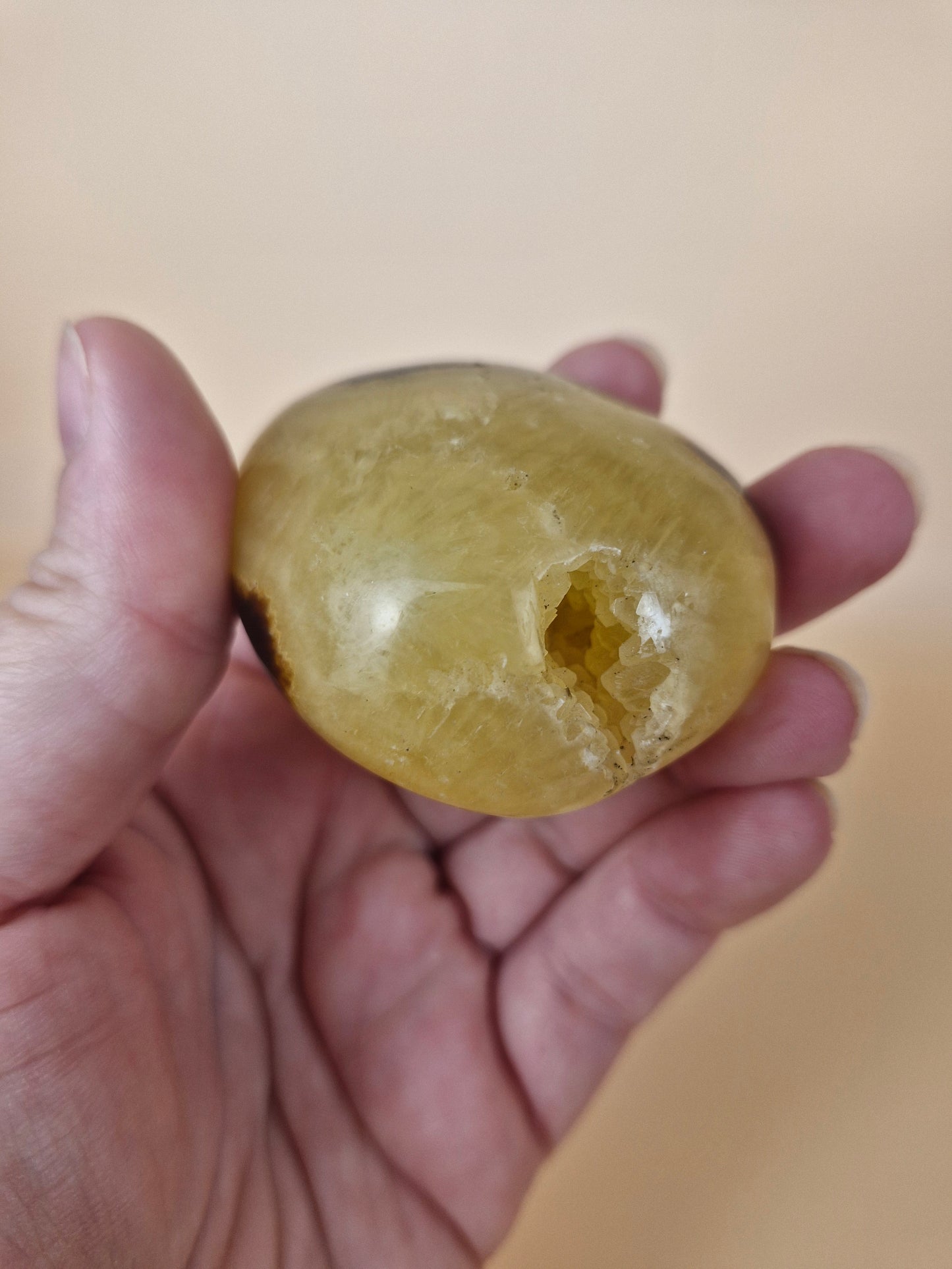Septarian Palm with Druzy