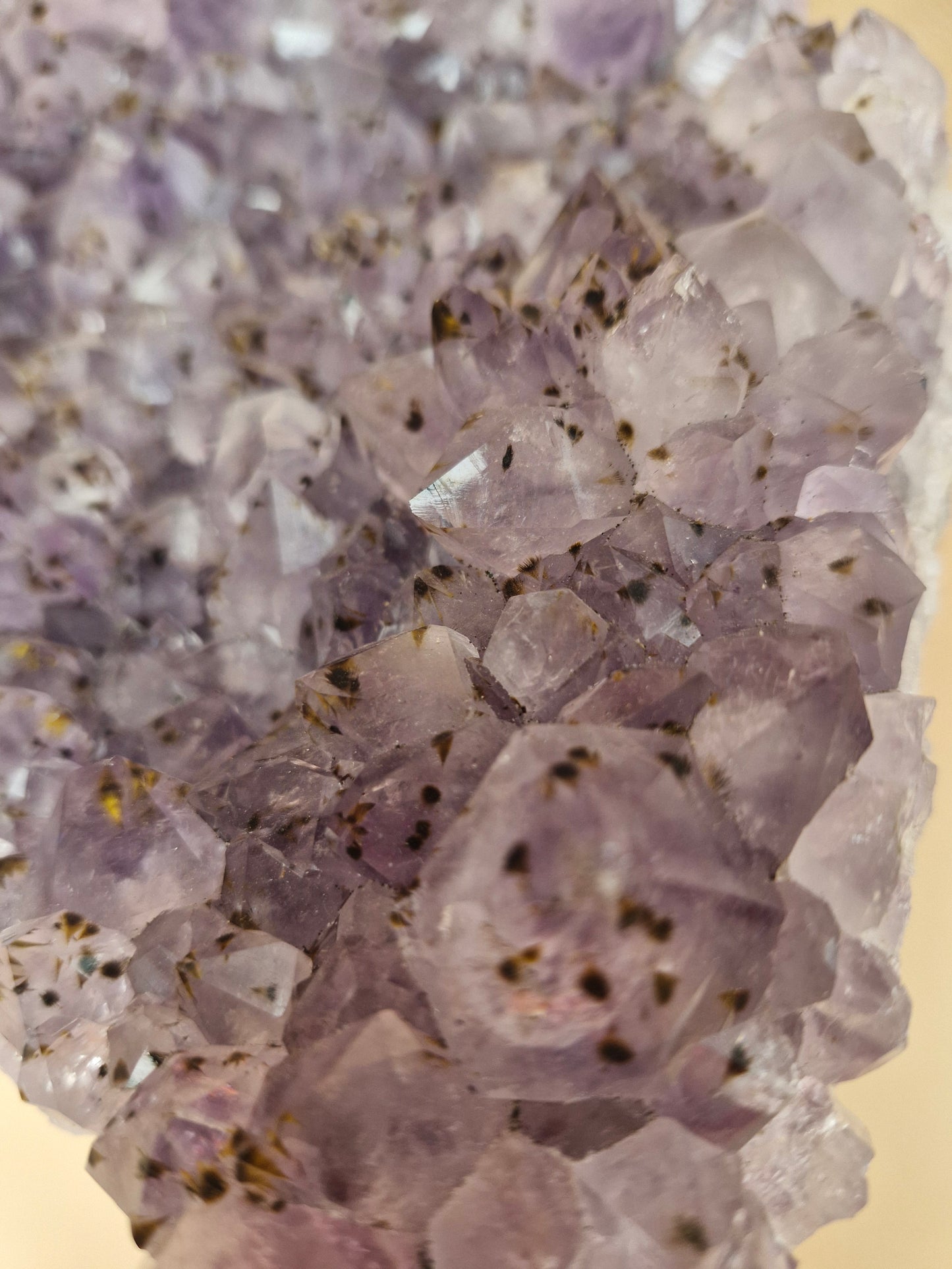 Statement Amethyst Cluster - 4.2kg