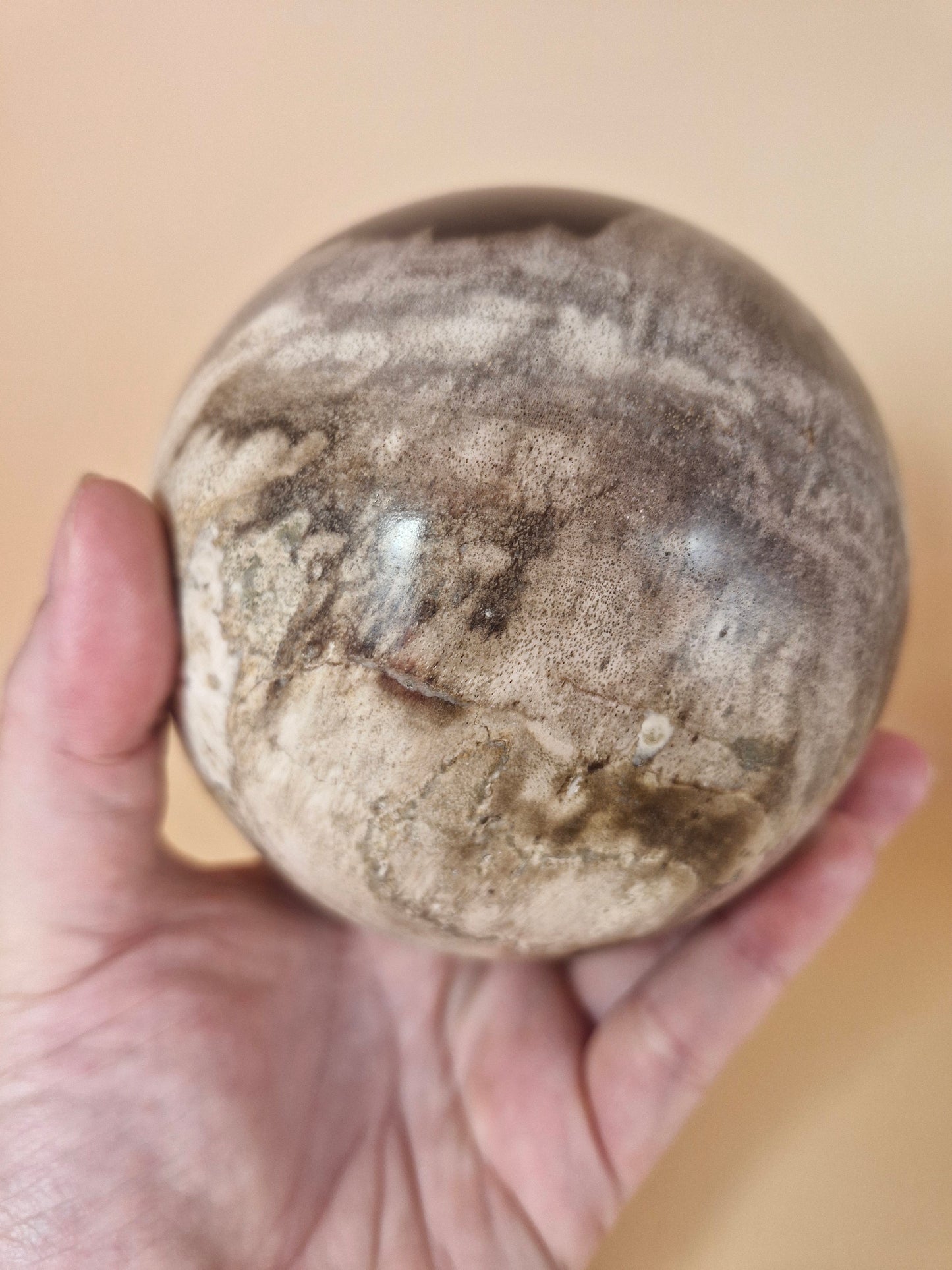 Indonesian Petrified Wood Sphere - 1.2kgs