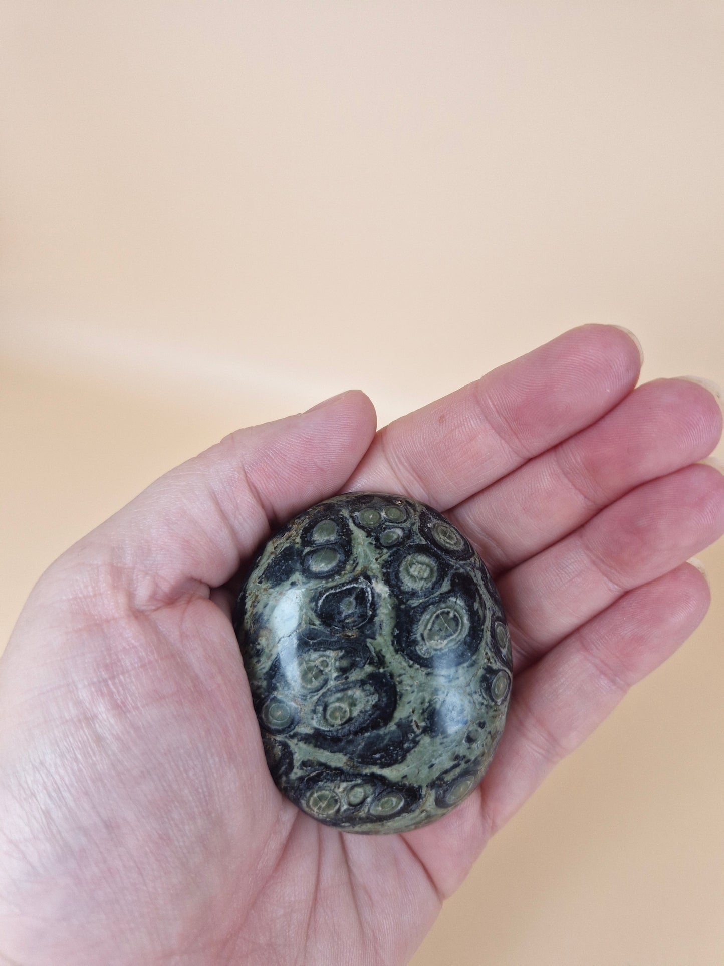 Kambaba Jasper Palm Stone (code B)
