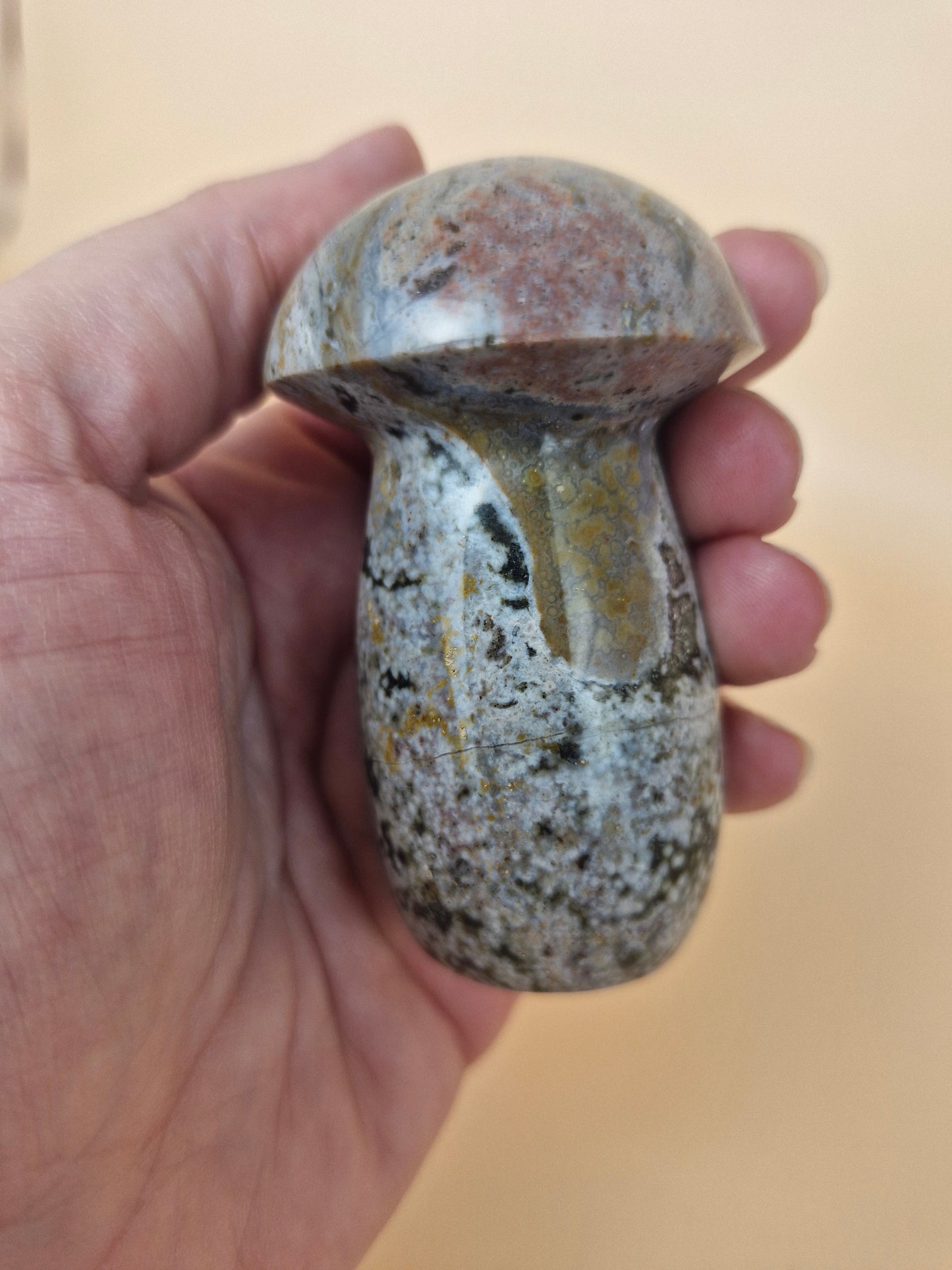 Ocean Jasper Mushroom