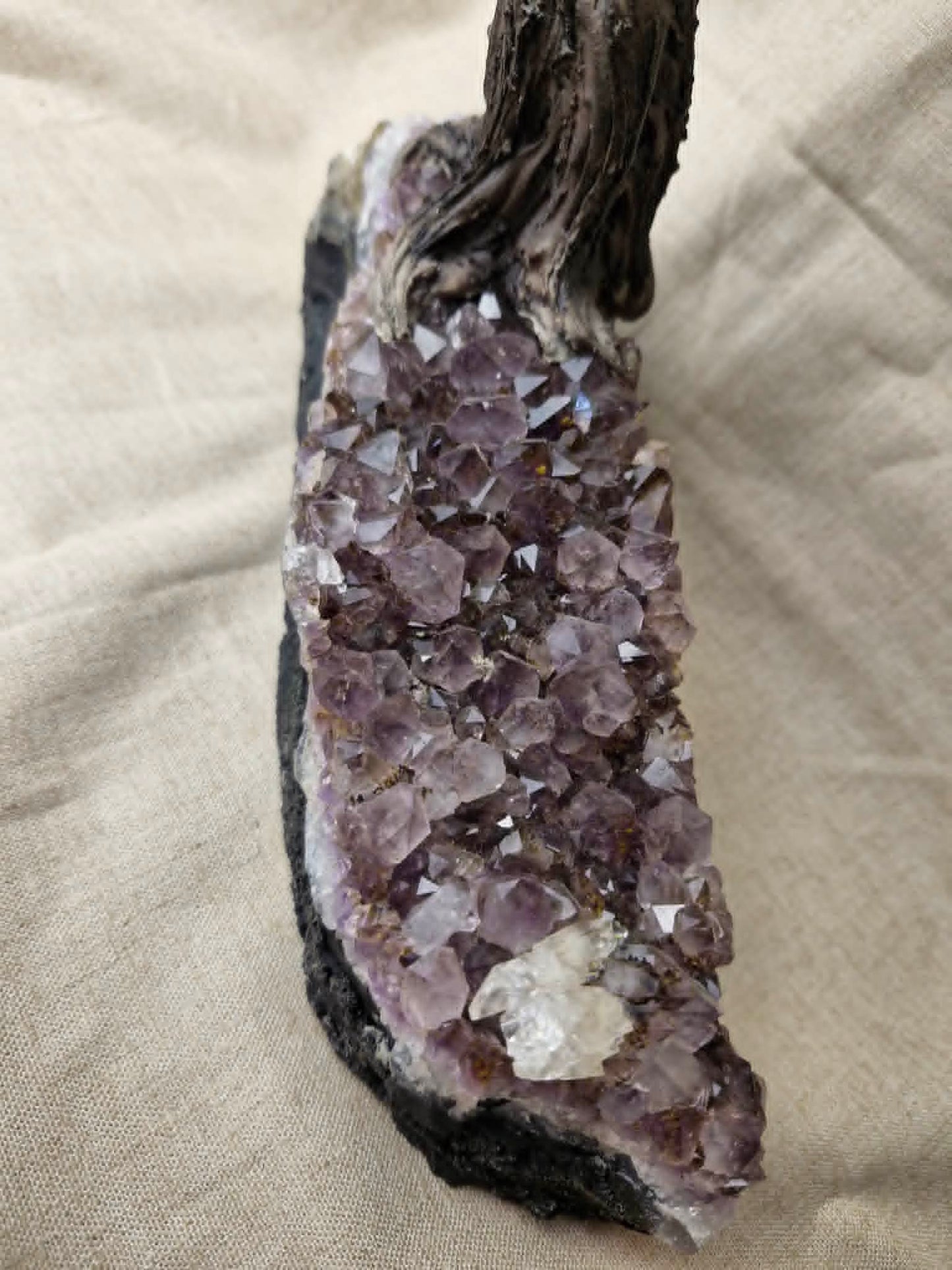 Quartz Tree with Amethyst Base