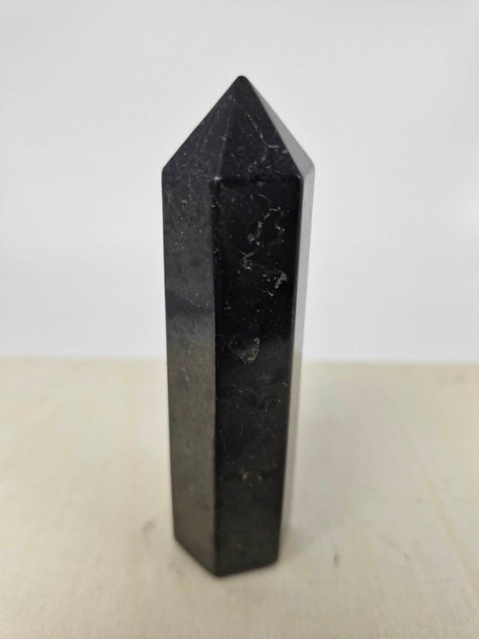 Shungite Point
