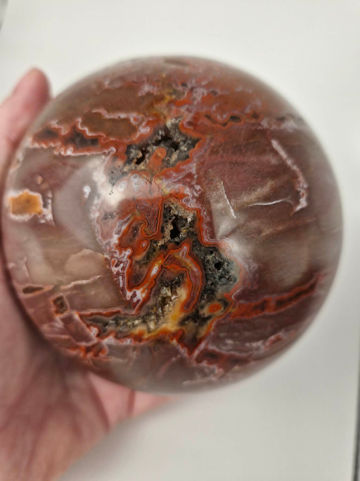 Petrified Wood Sphere