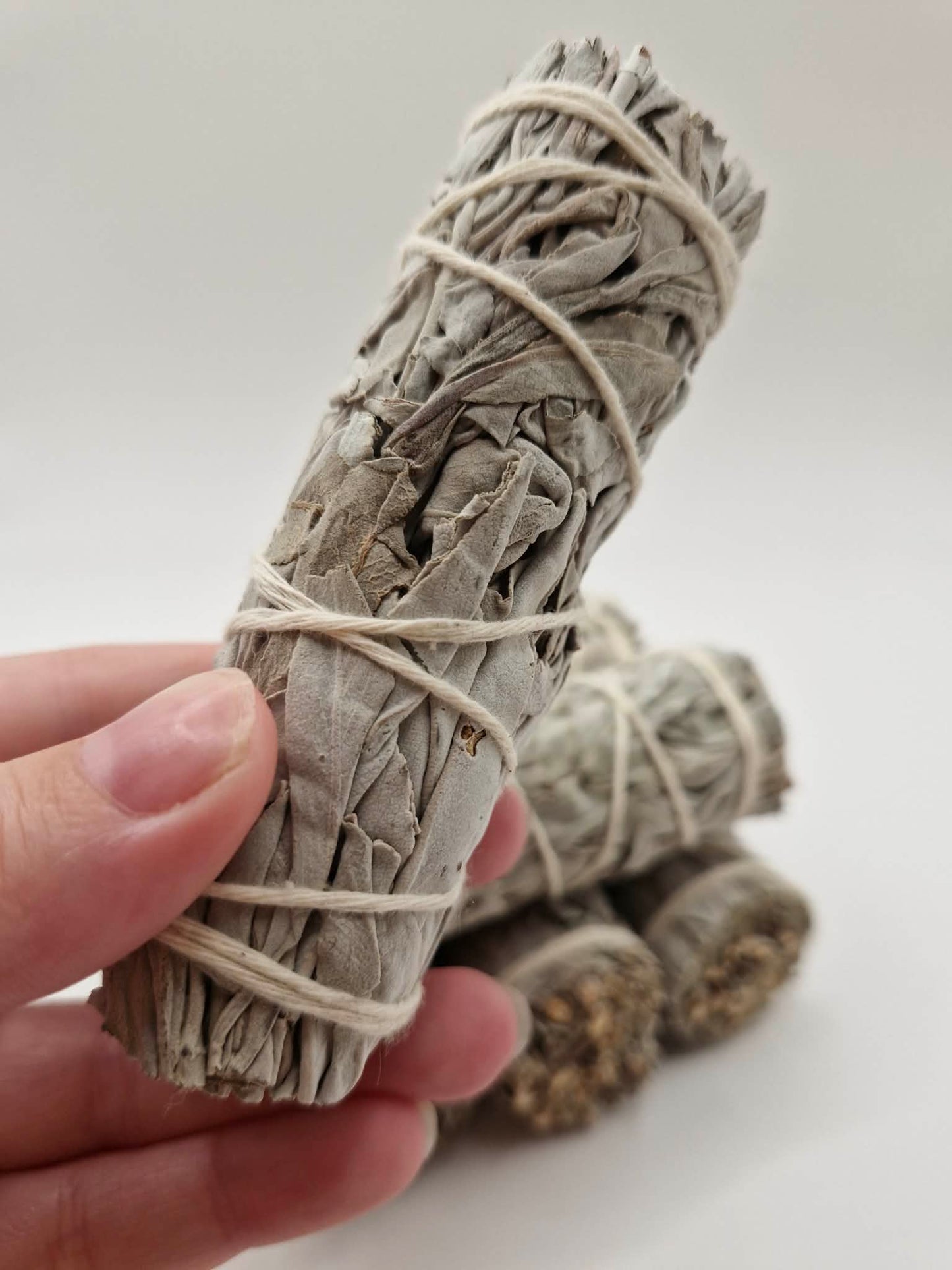White Sage Smudge Stick - Small