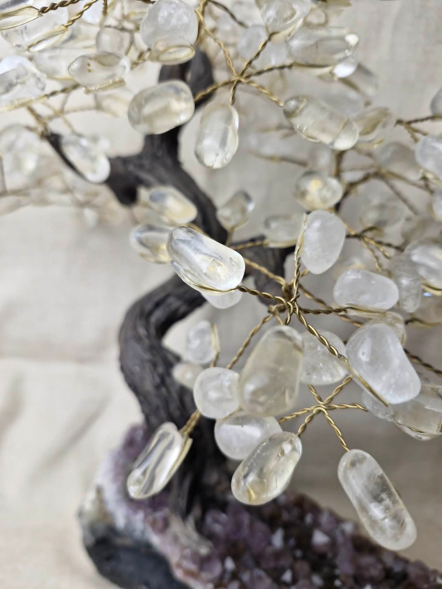 Quartz Tree with Amethyst Base