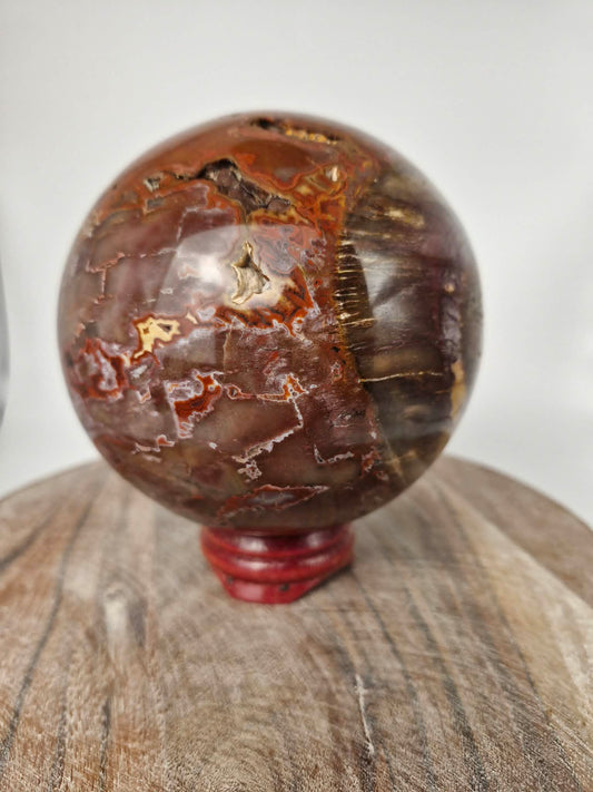 Petrified Wood Sphere