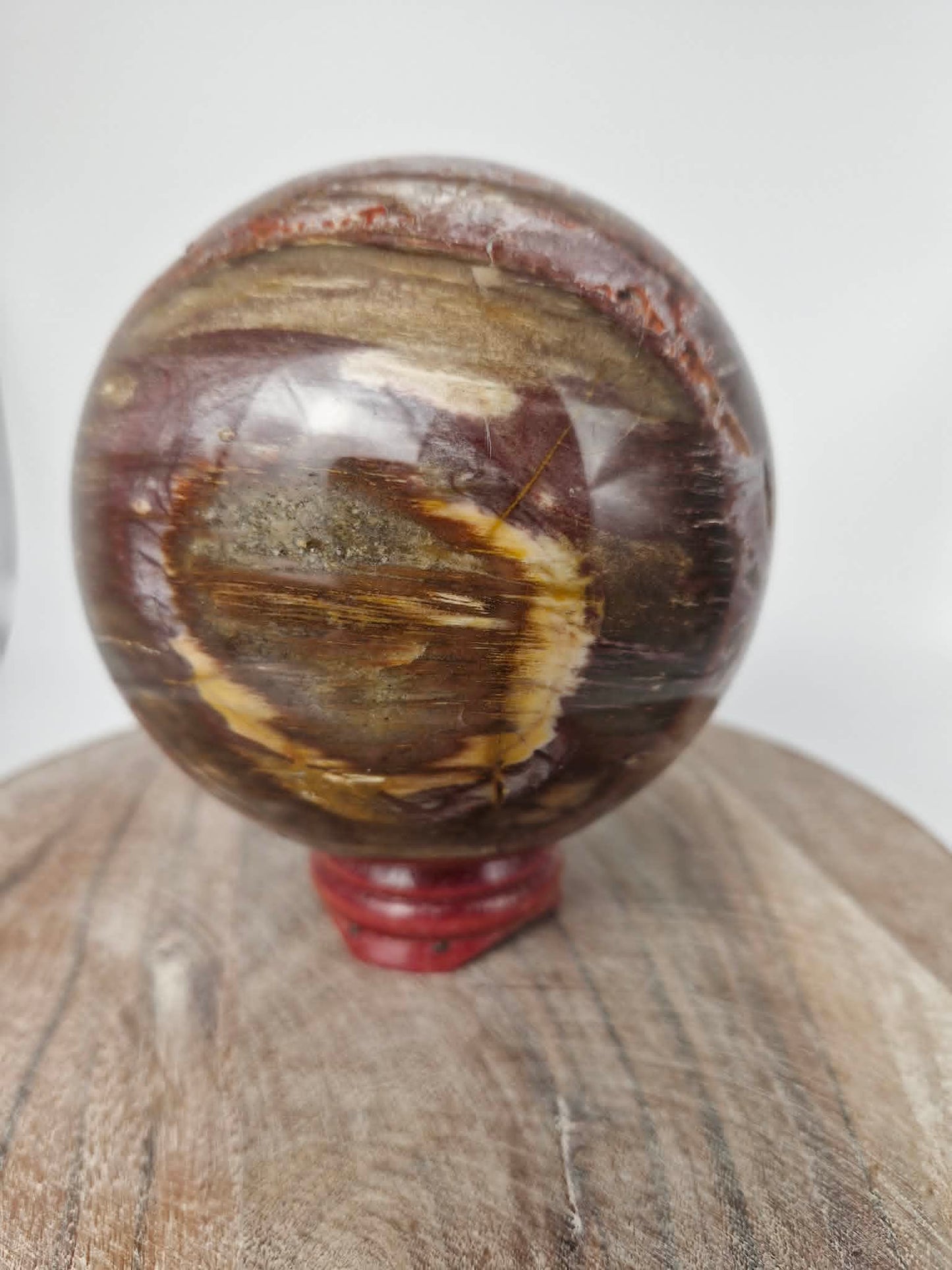 Petrified Wood Sphere