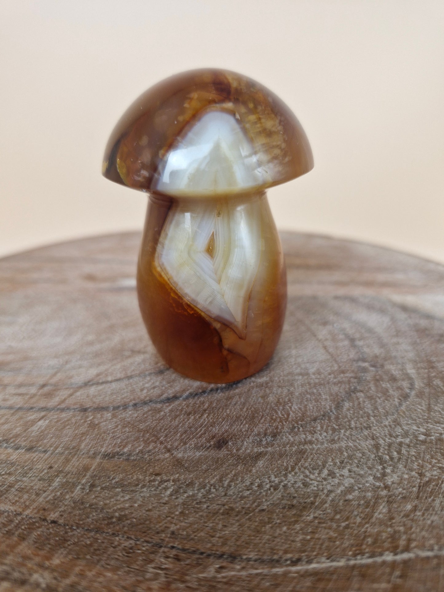 Carnelian Mushroom (code CM)