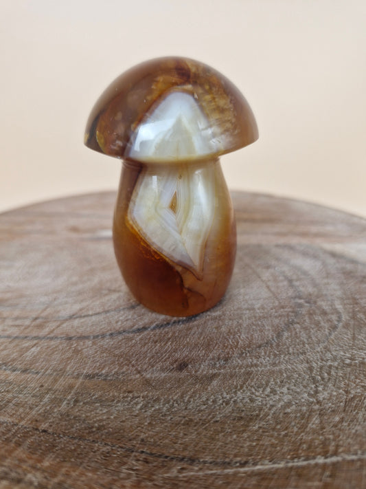 Carnelian Mushroom (code CM)