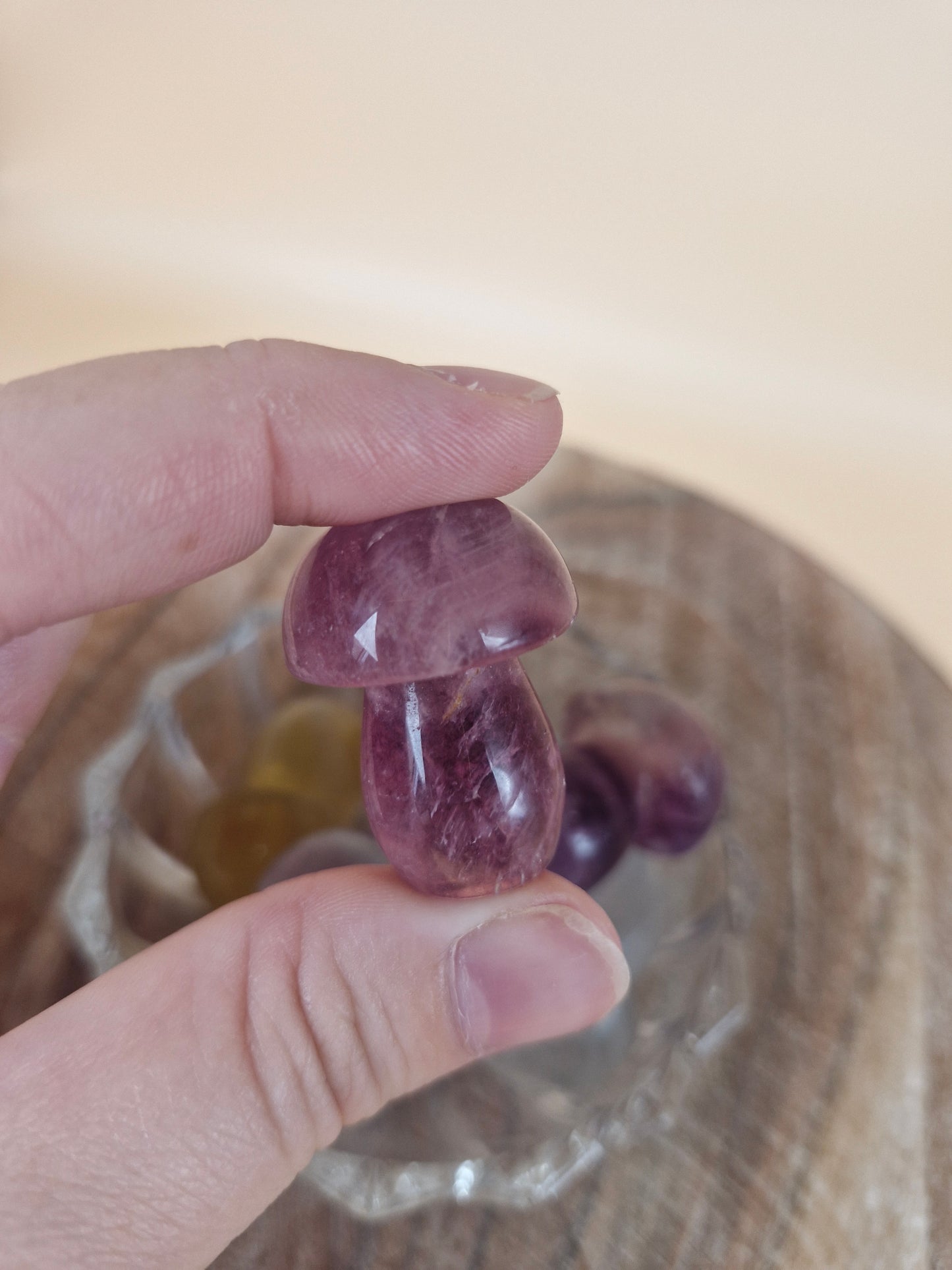 Mini Fluorite Mushroom - Intuitively Chosen