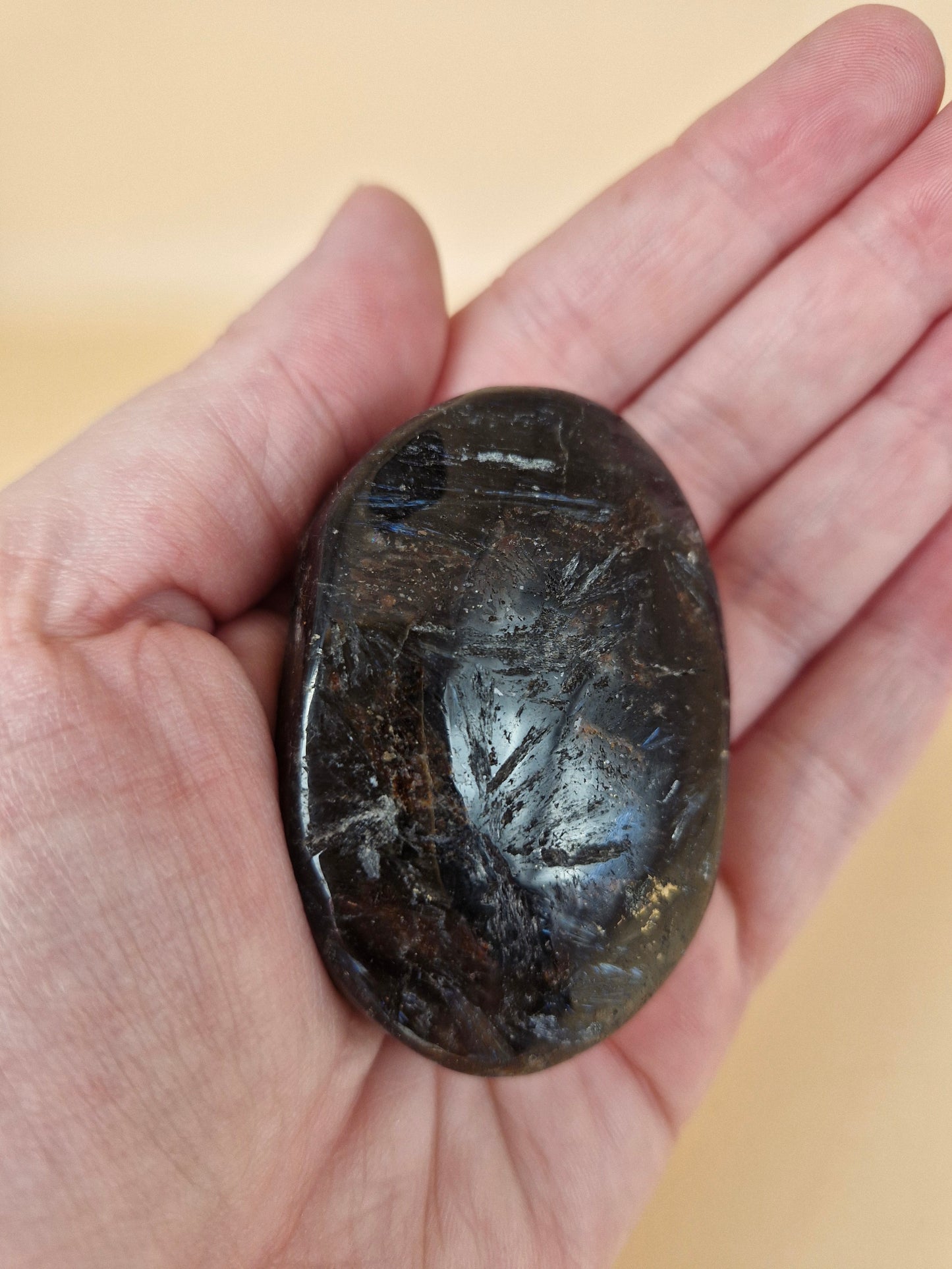 Anthophyllite & Garnet Palm
