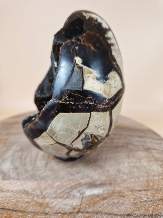 Septerian Egg