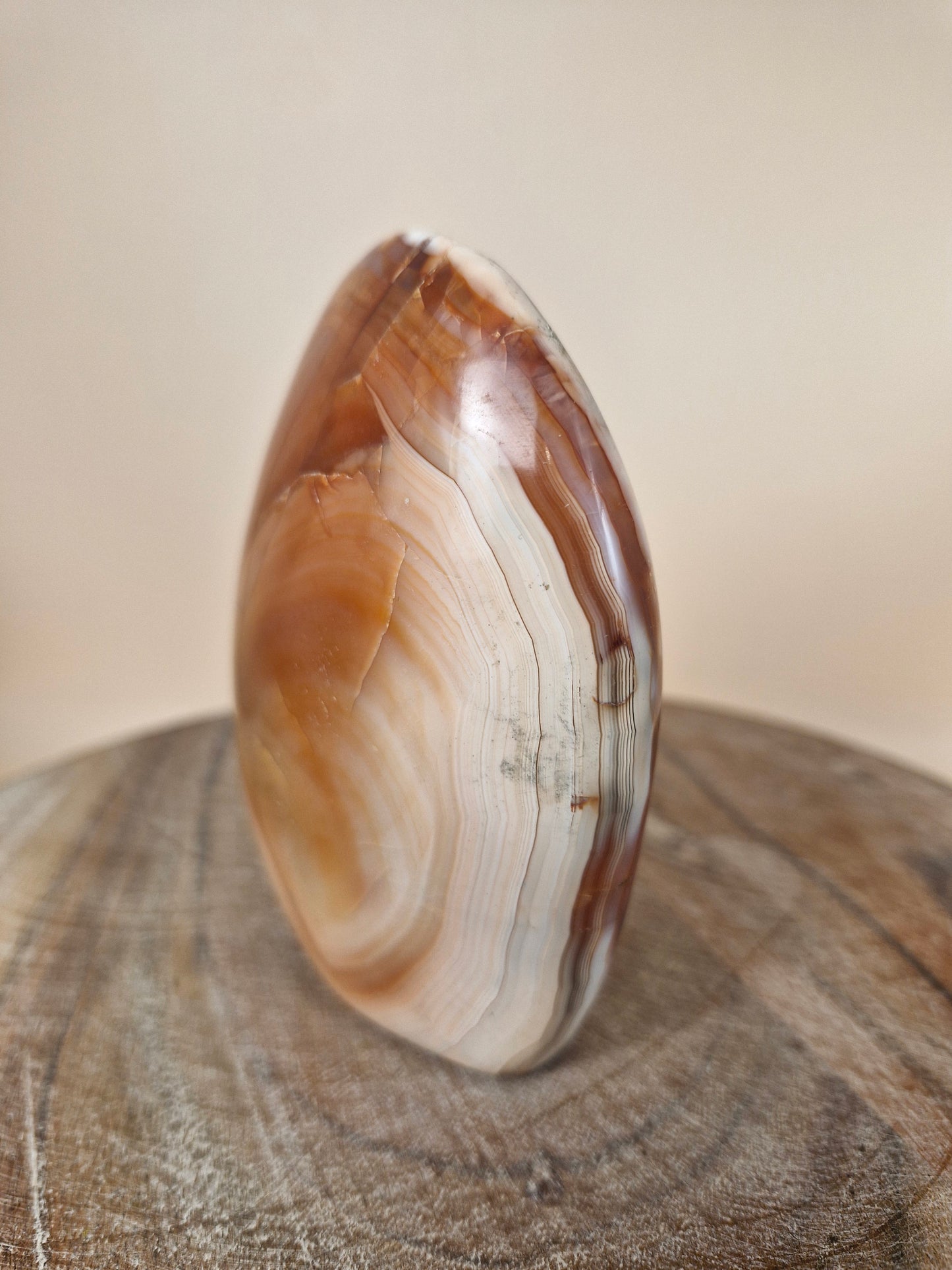 Carnelian Freeform (code CC)