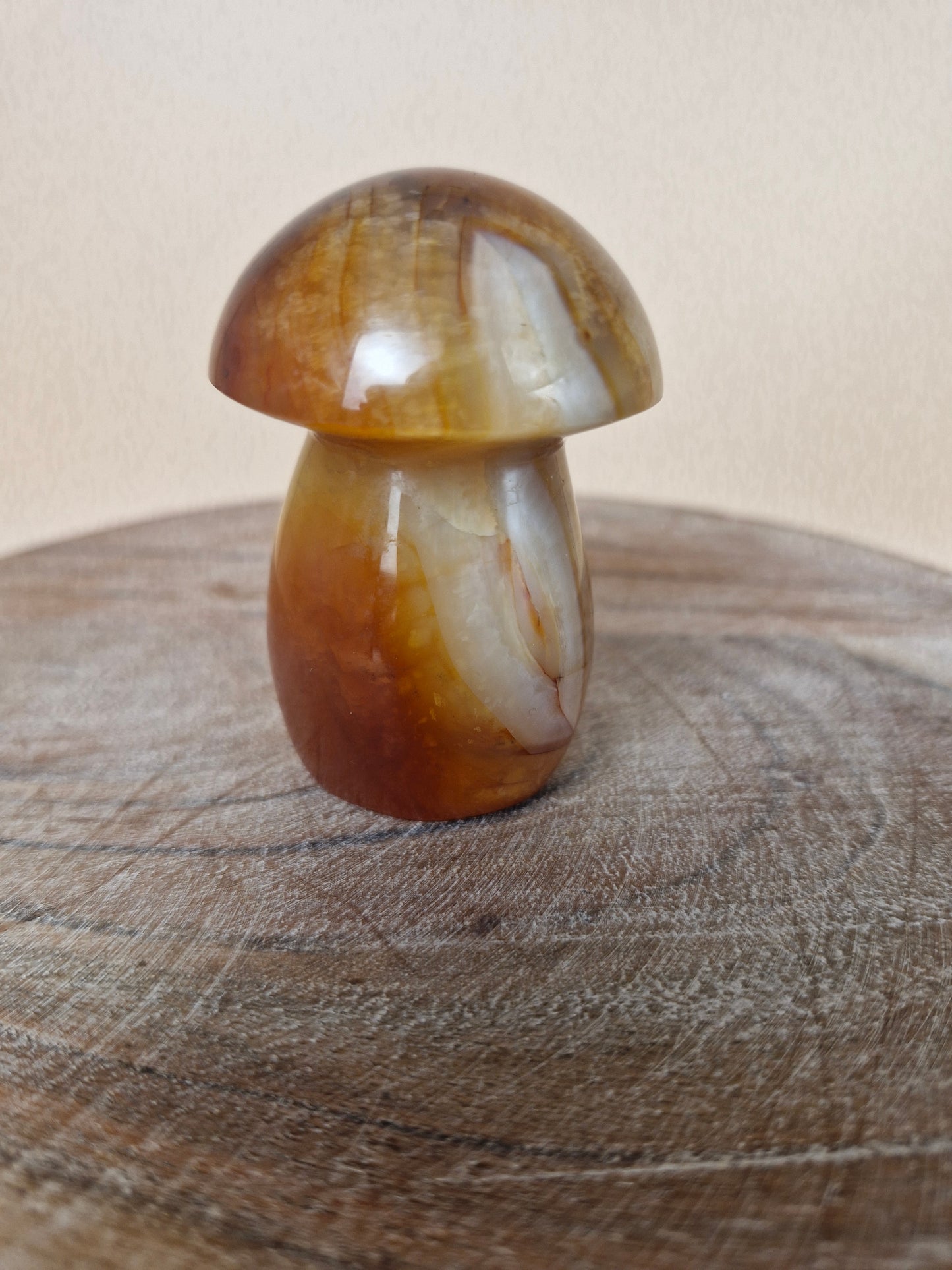 Carnelian Mushroom (code CM)