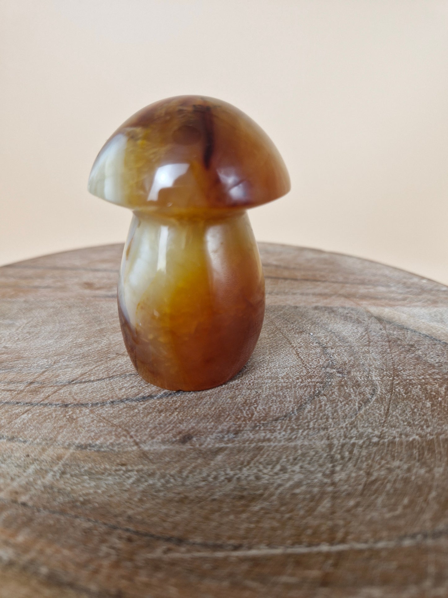 Carnelian Mushroom (code CM)