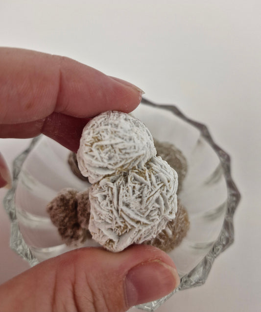 Desert Rose Tumble