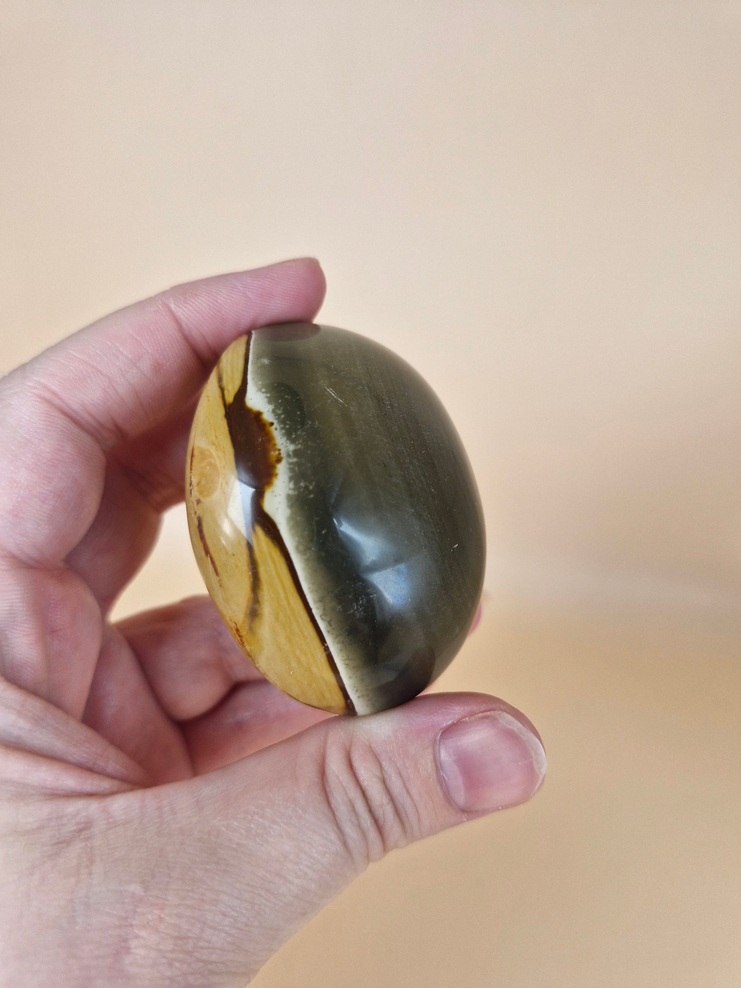 Polychrome Jasper Palm Stone (code A)