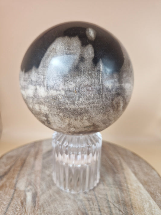 Indonesian Petrified Wood Sphere - 1.2kgs