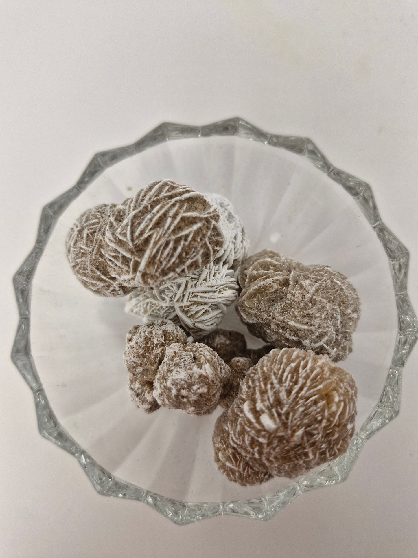 Desert Rose Tumble