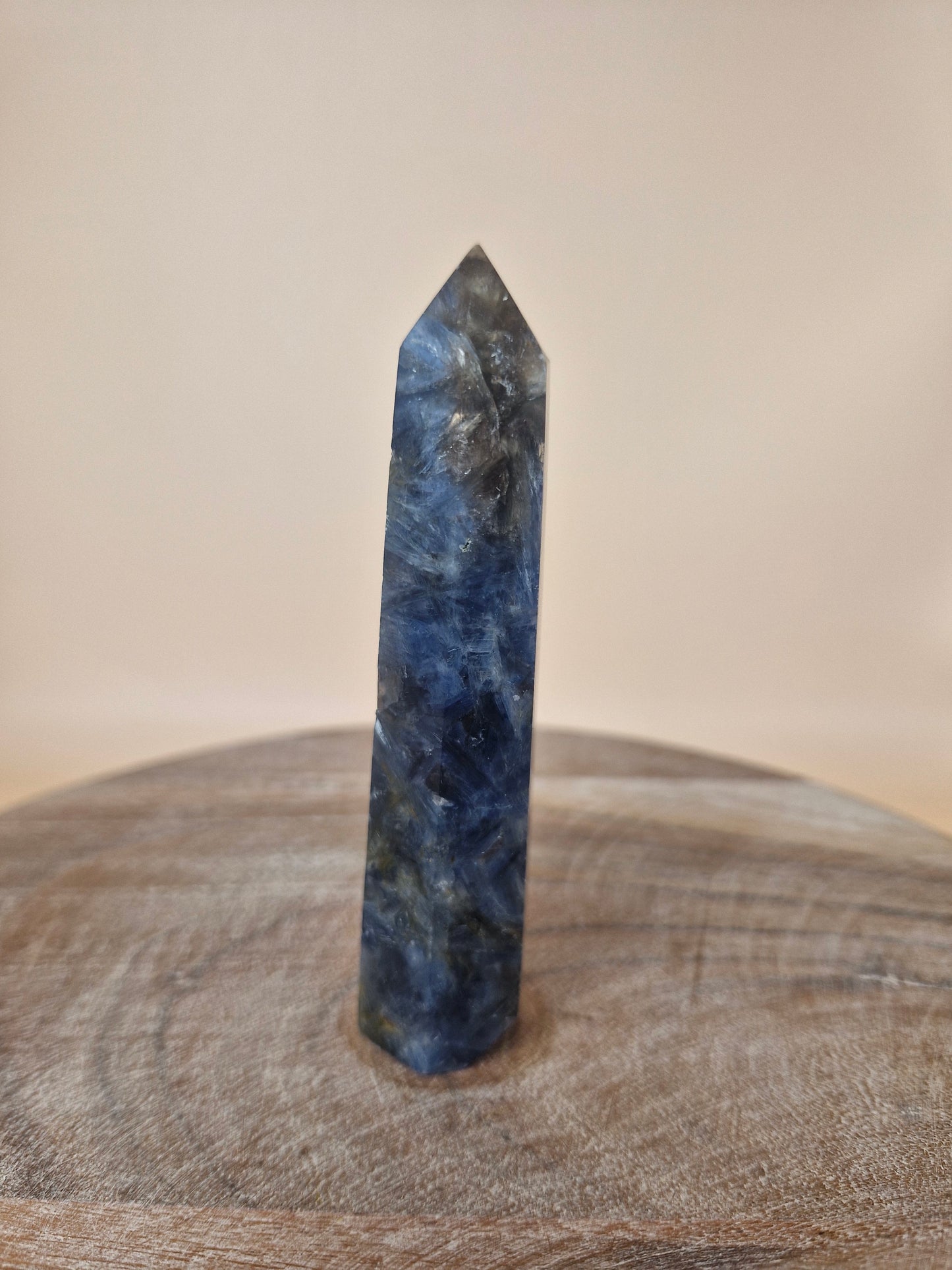 Kyanite with Golden Healer Point