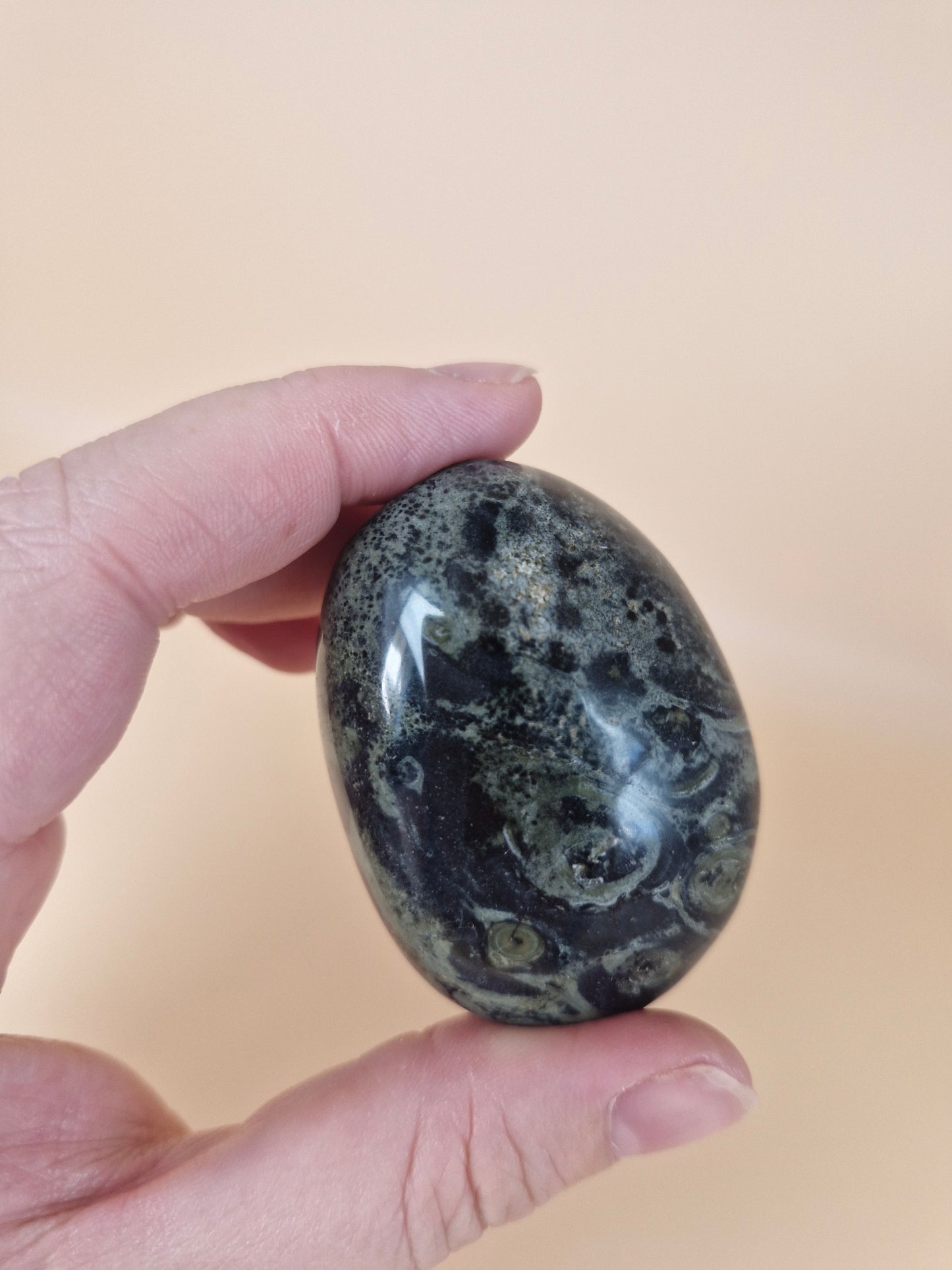 Kambaba Jasper Palm Stone (code C)