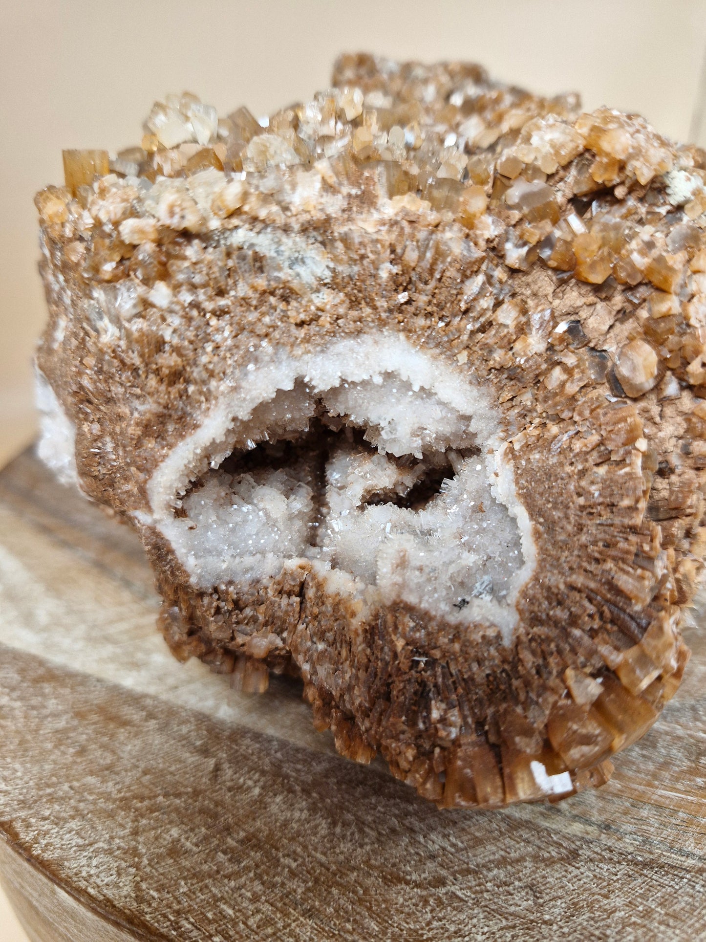 Jumbo Aragonite Sputnik