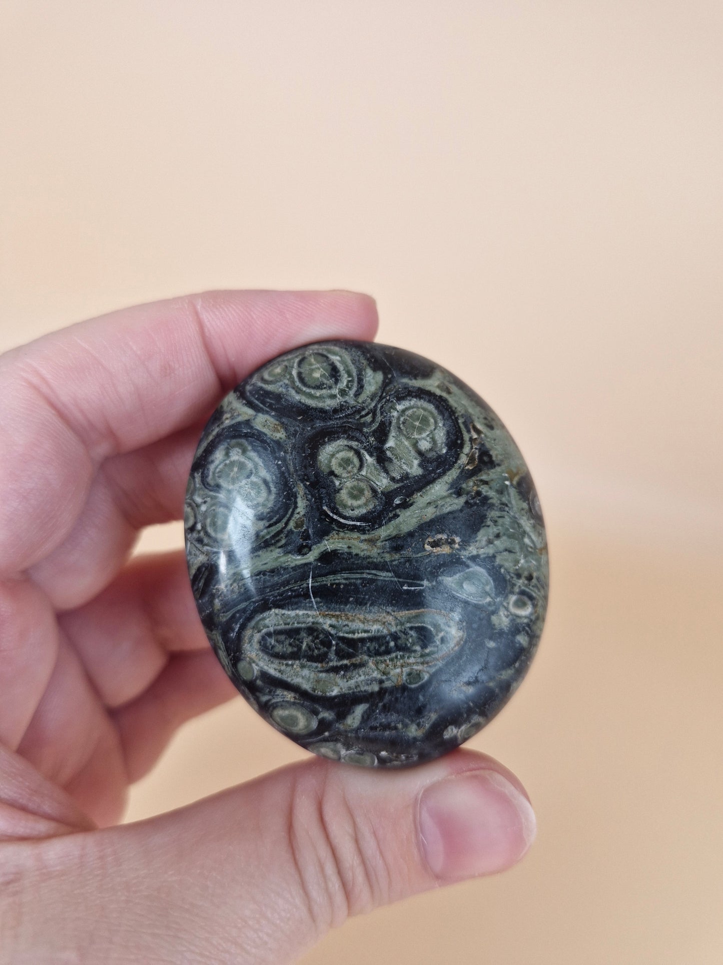 Kambaba Jasper Palm Stone (code B)