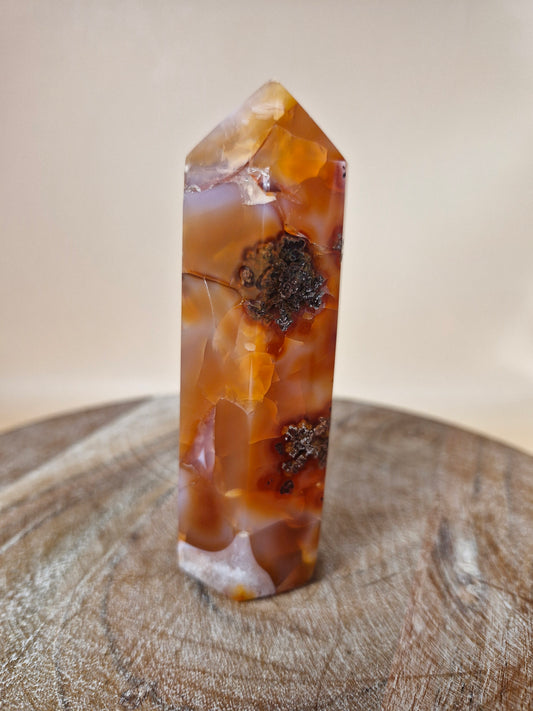 Carnelian Tower (code CT5)