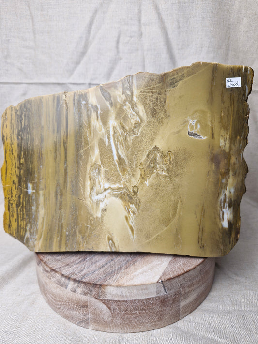 NZ Petrified Wood Statement Piece