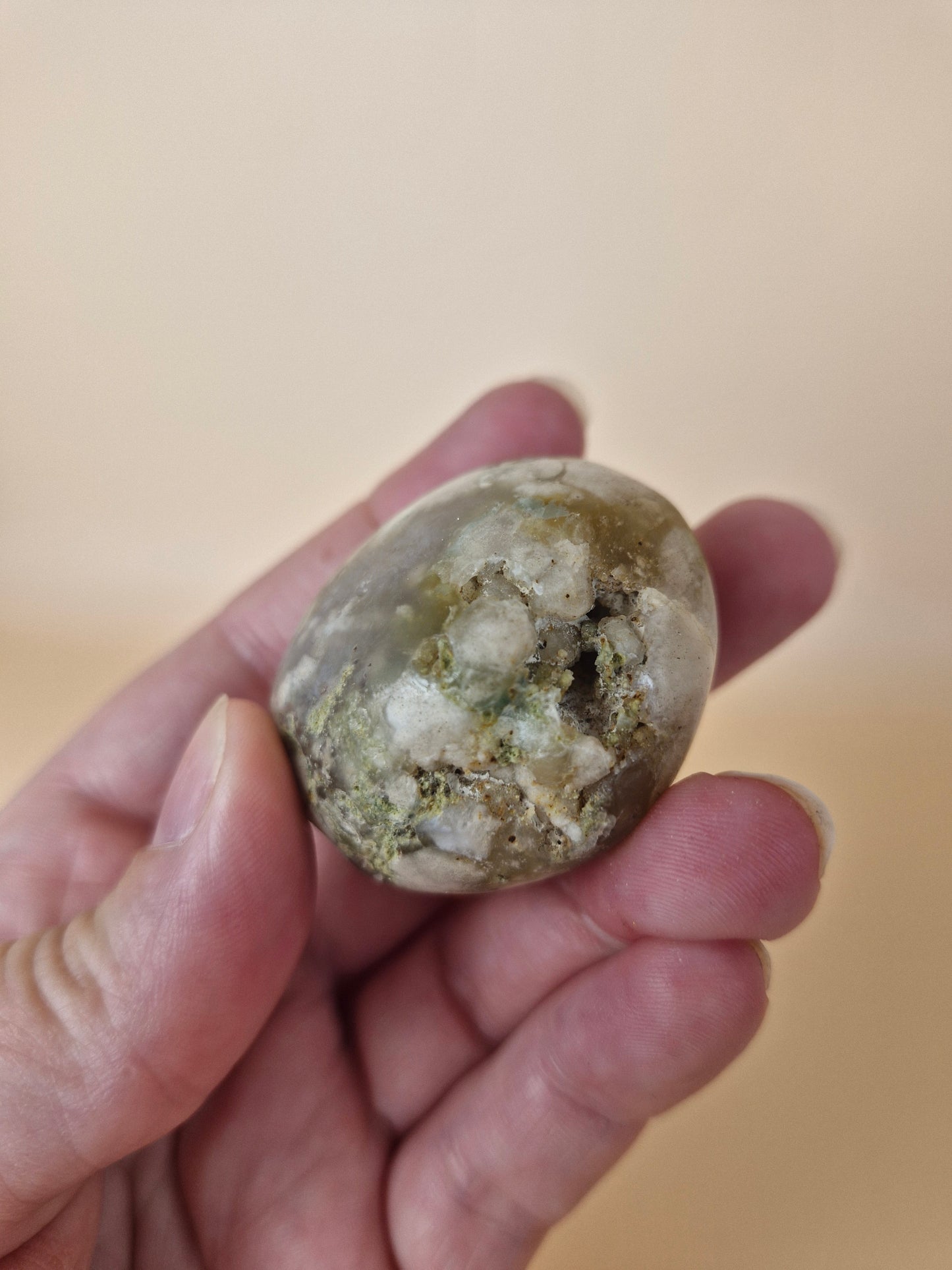 Flower Agate Palm (Code 8D)