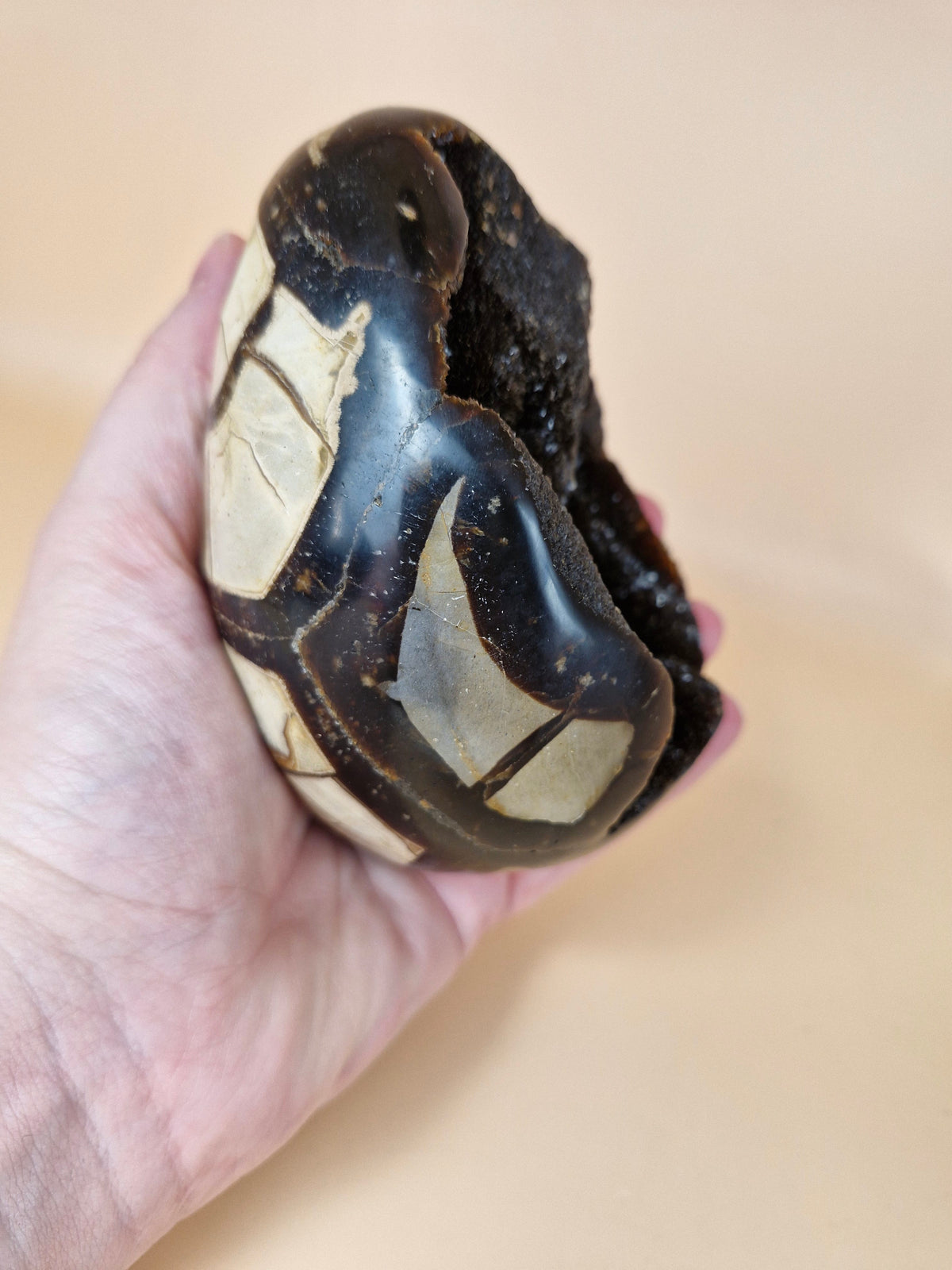 Septerian Egg