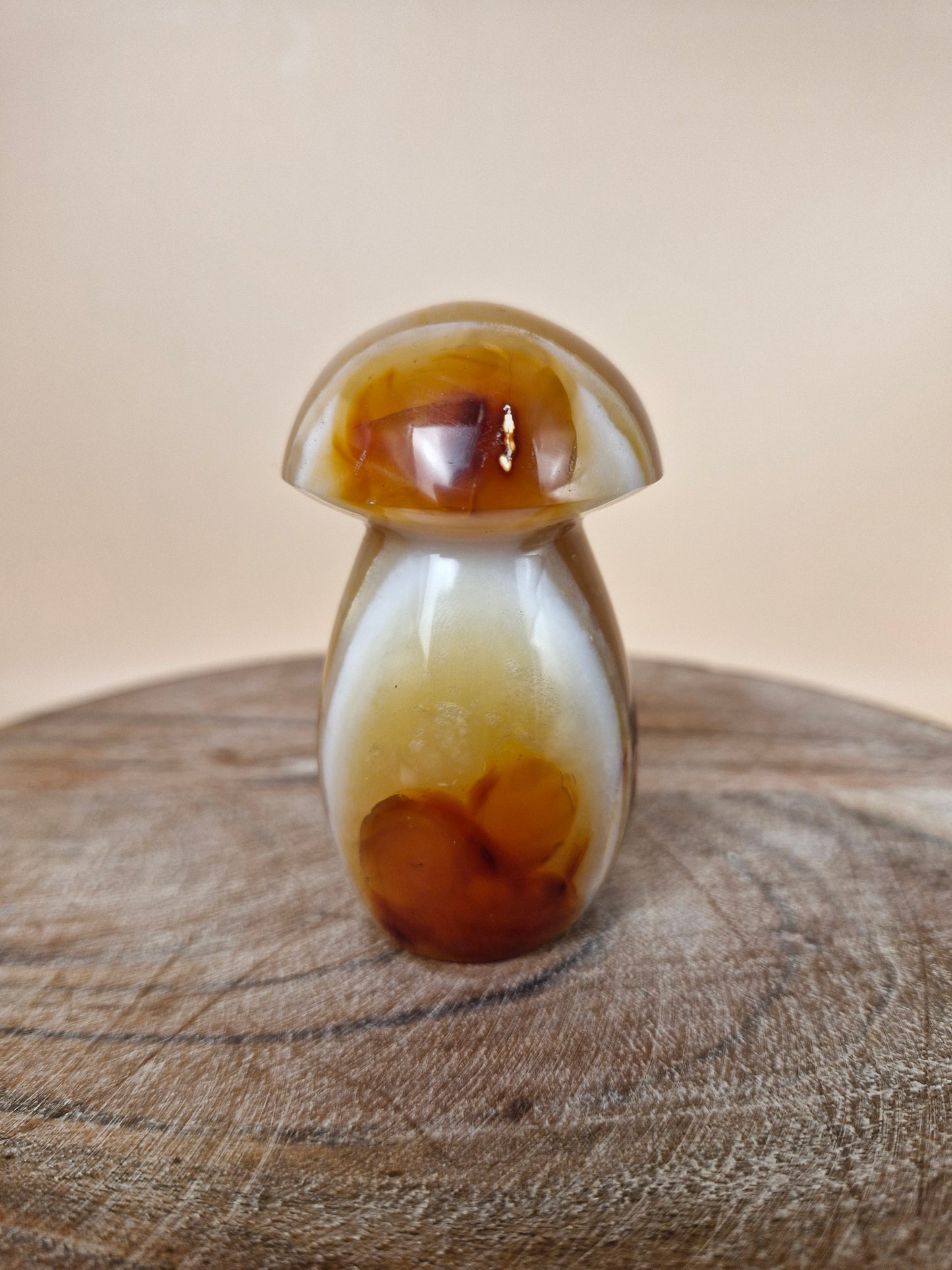 Carnelian Mushroom (code MC)
