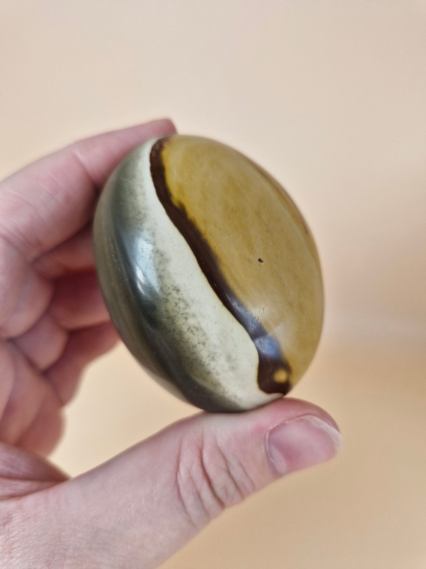 Polychrome Jasper Palm Stone (code A)