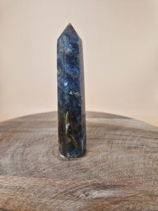 Kyanite with Golden Healer Point