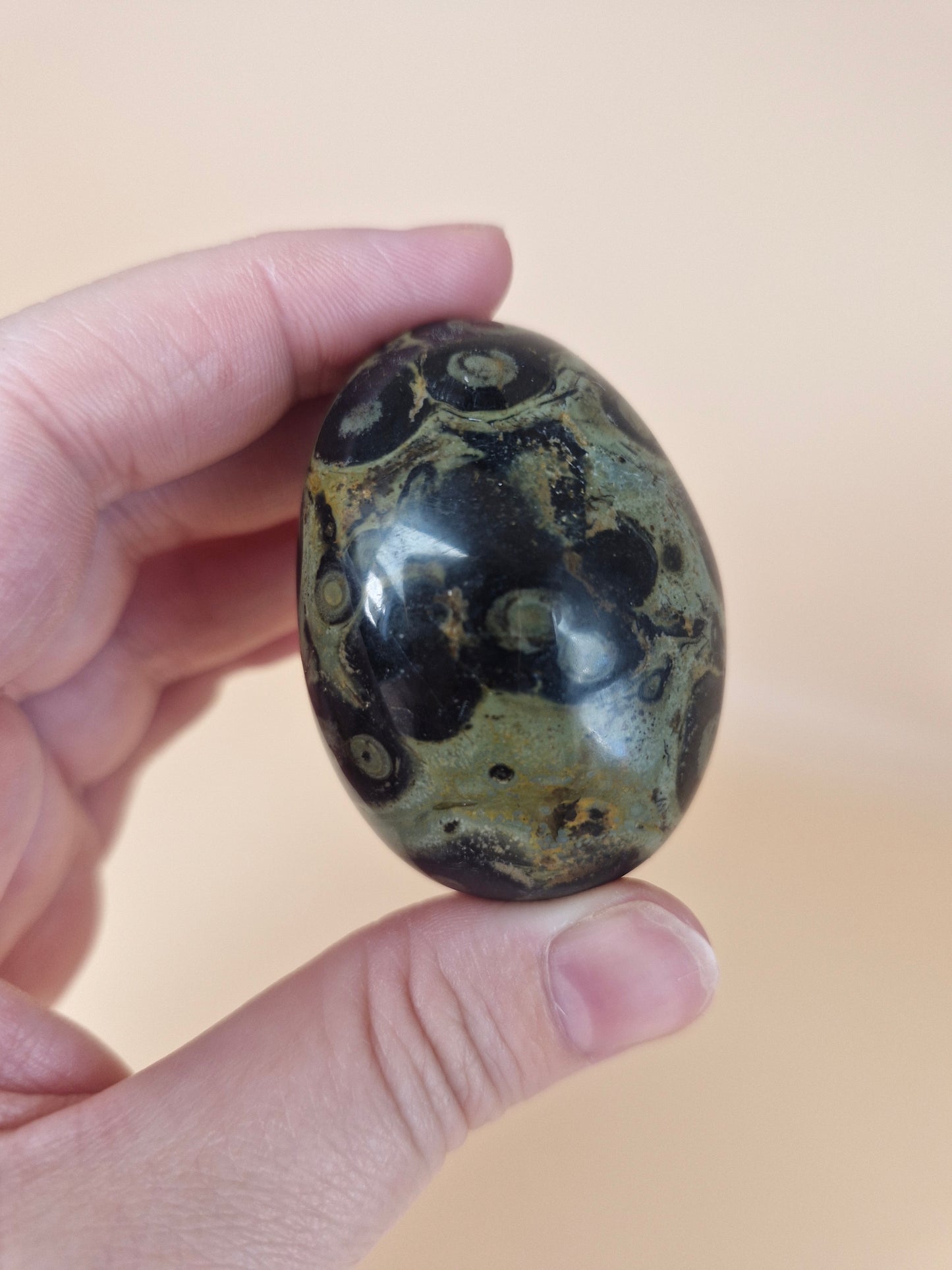 Kambaba Jasper Palm Stone (code A)