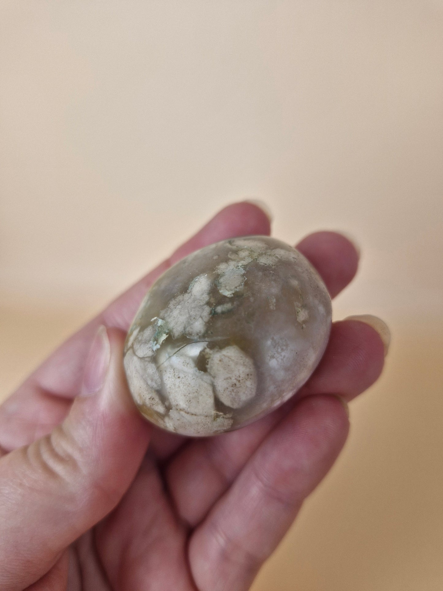 Flower Agate Palm (Code 8D)