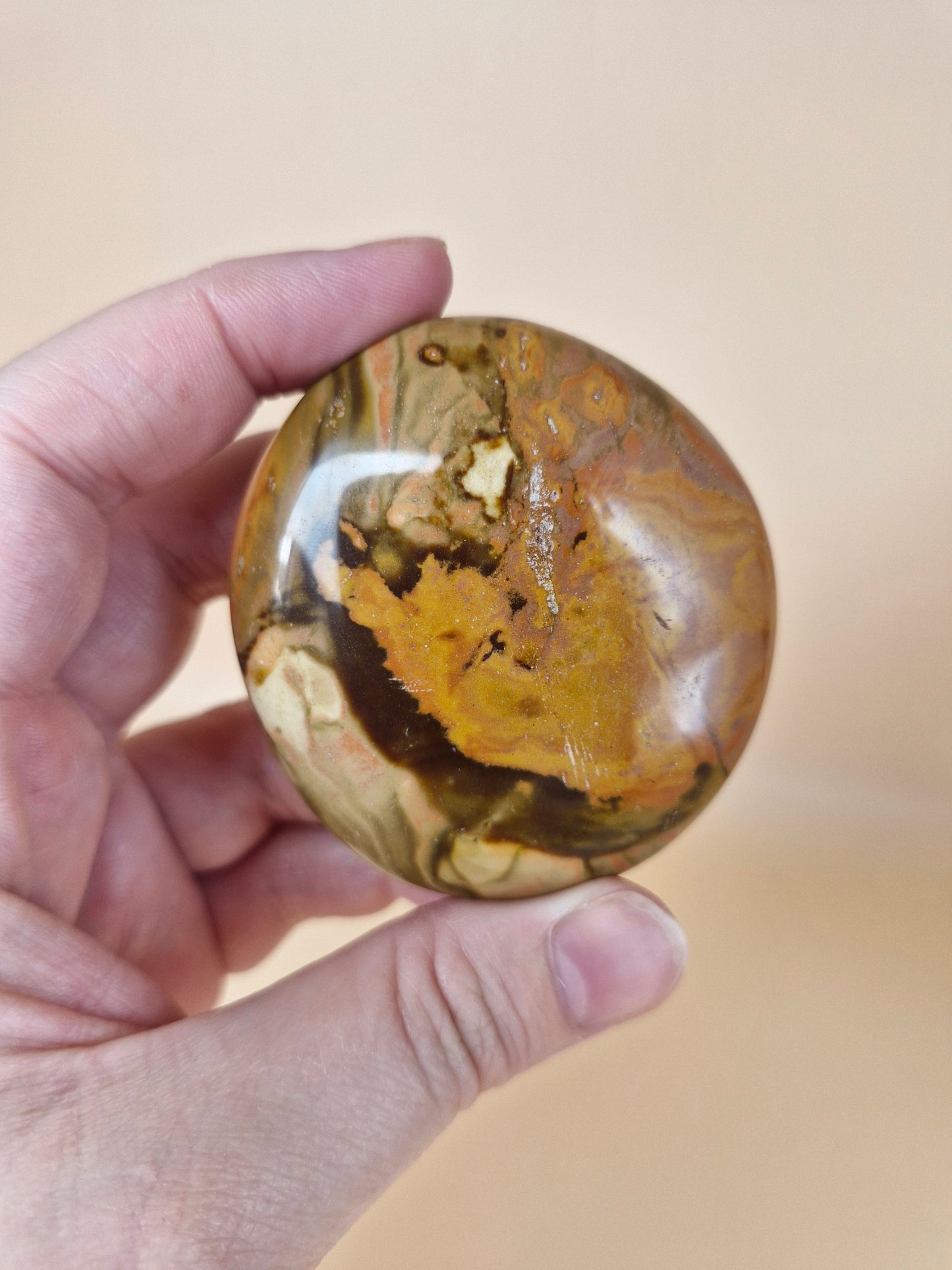 Polychrome Jasper Palm Stone (code B)