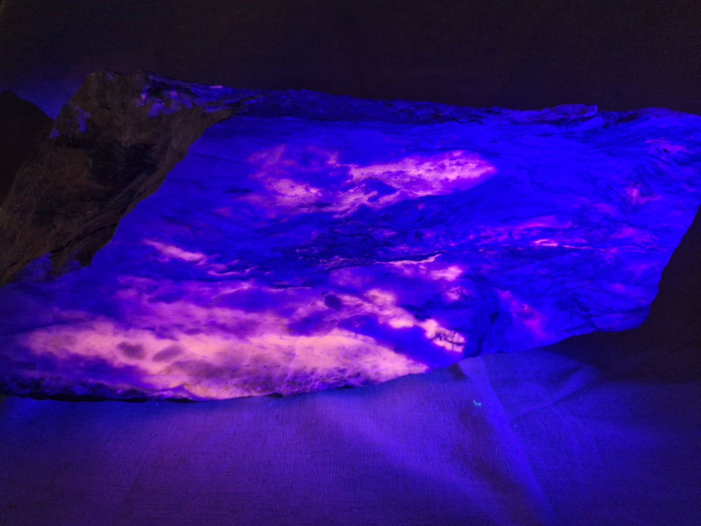 Sodalite Statement Piece