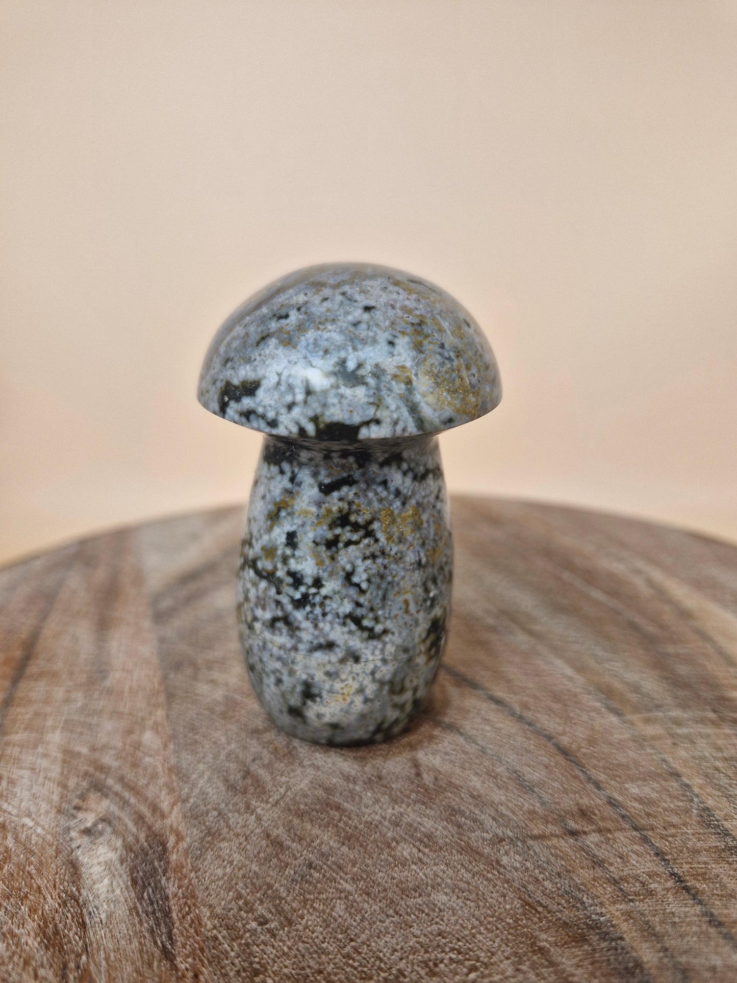Ocean Jasper Mushroom