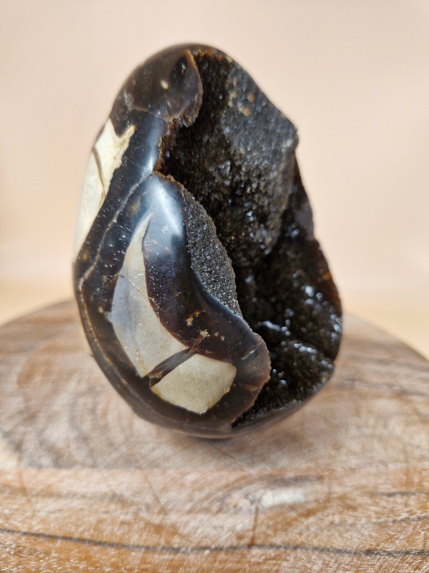 Septerian Egg
