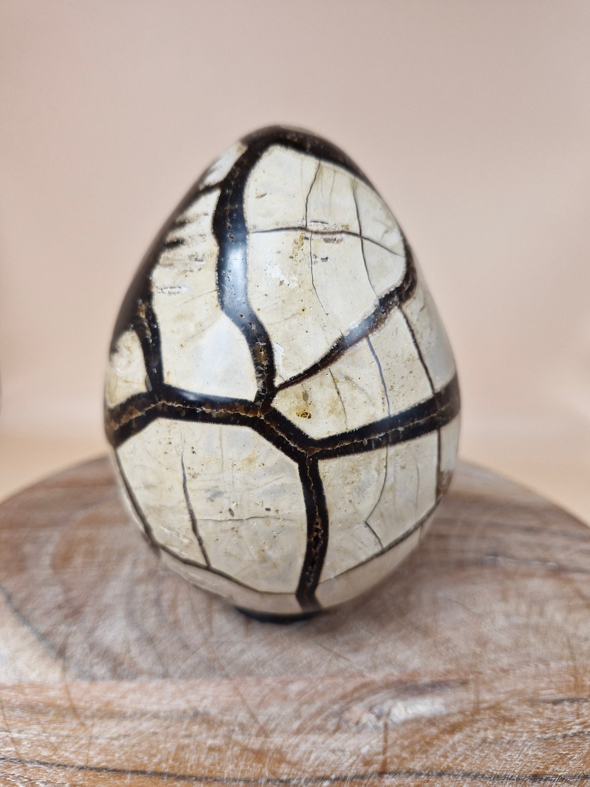 Septerian Egg