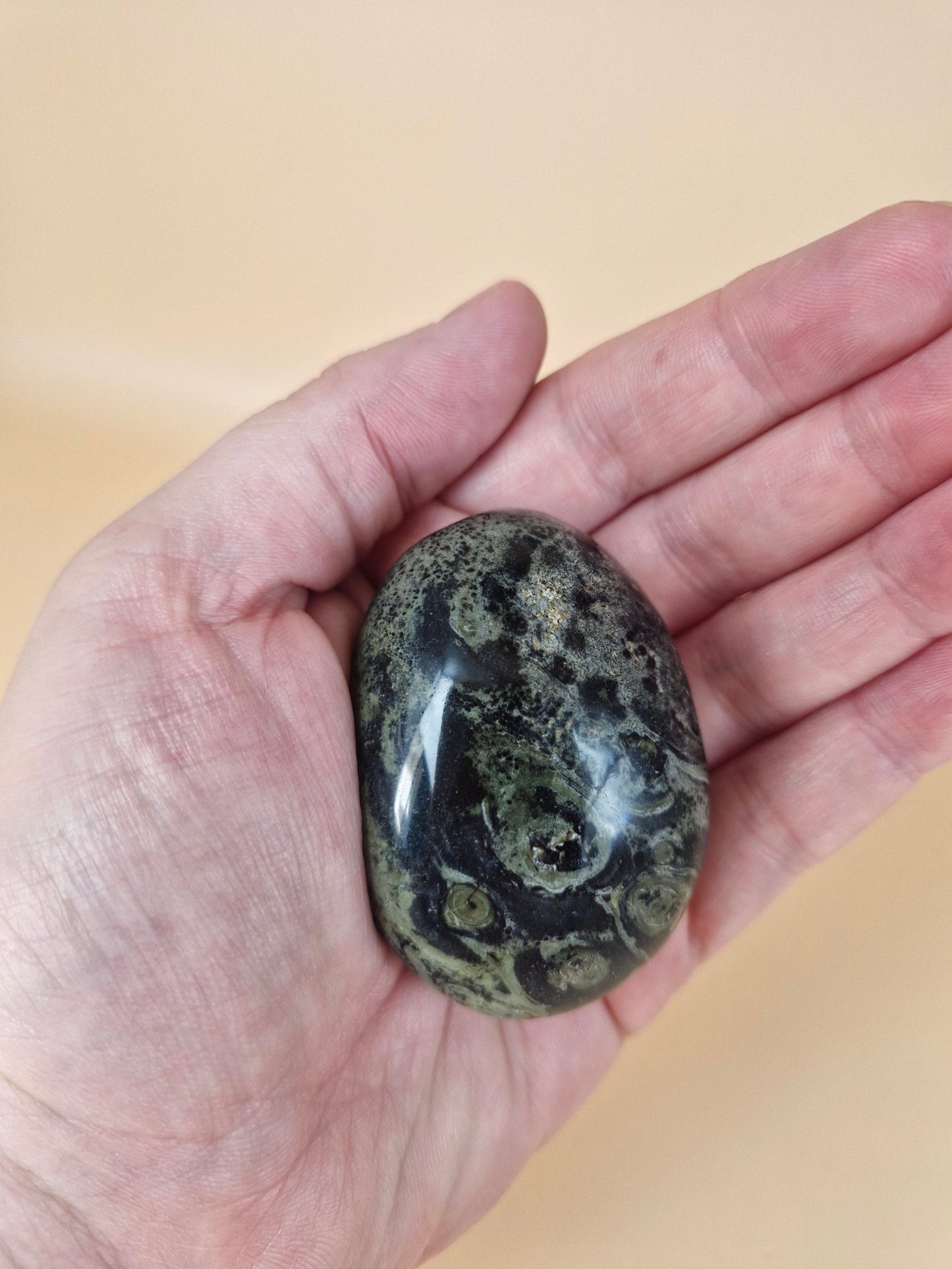 Kambaba Jasper Palm Stone (code C)
