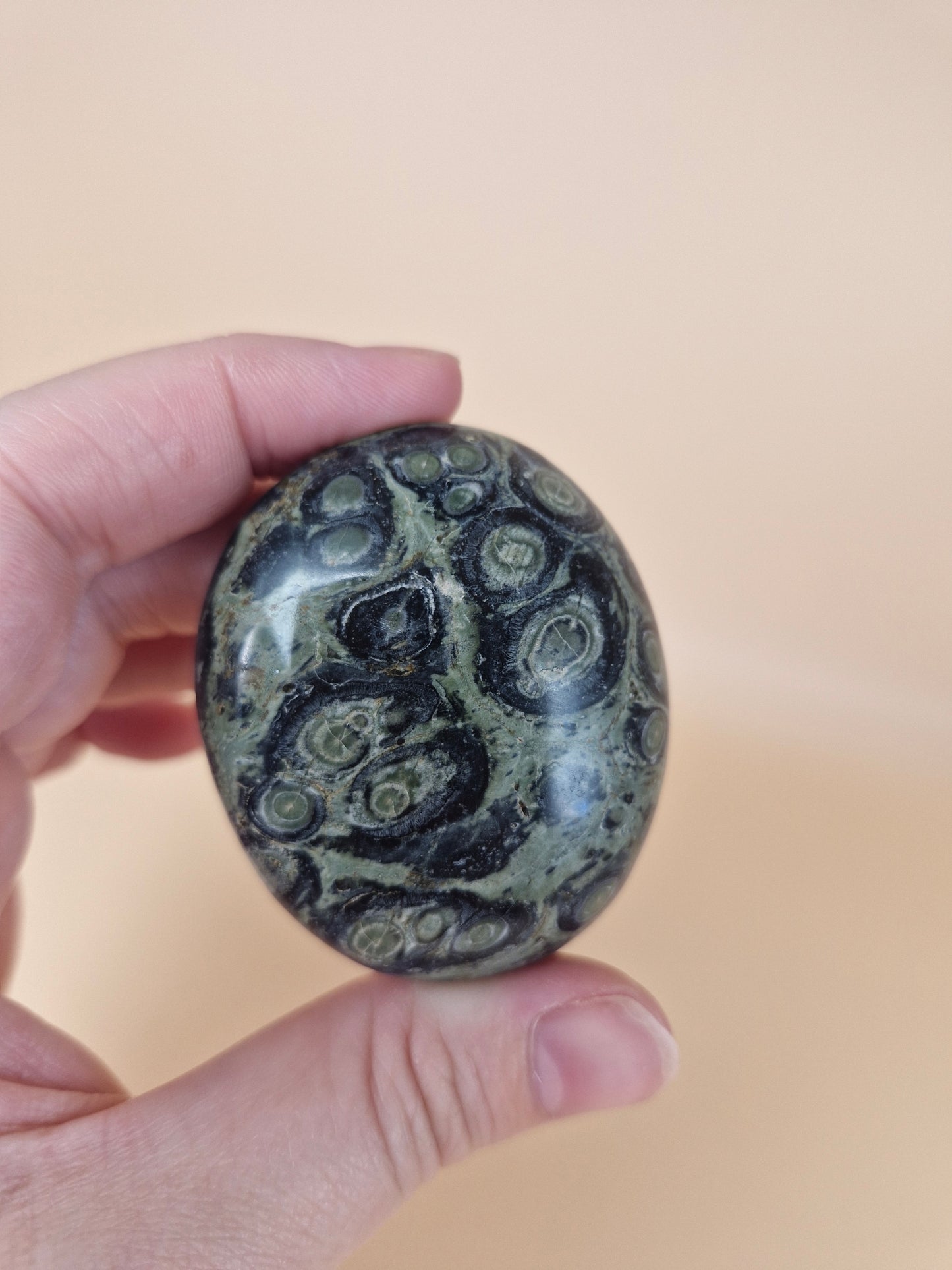 Kambaba Jasper Palm Stone (code B)