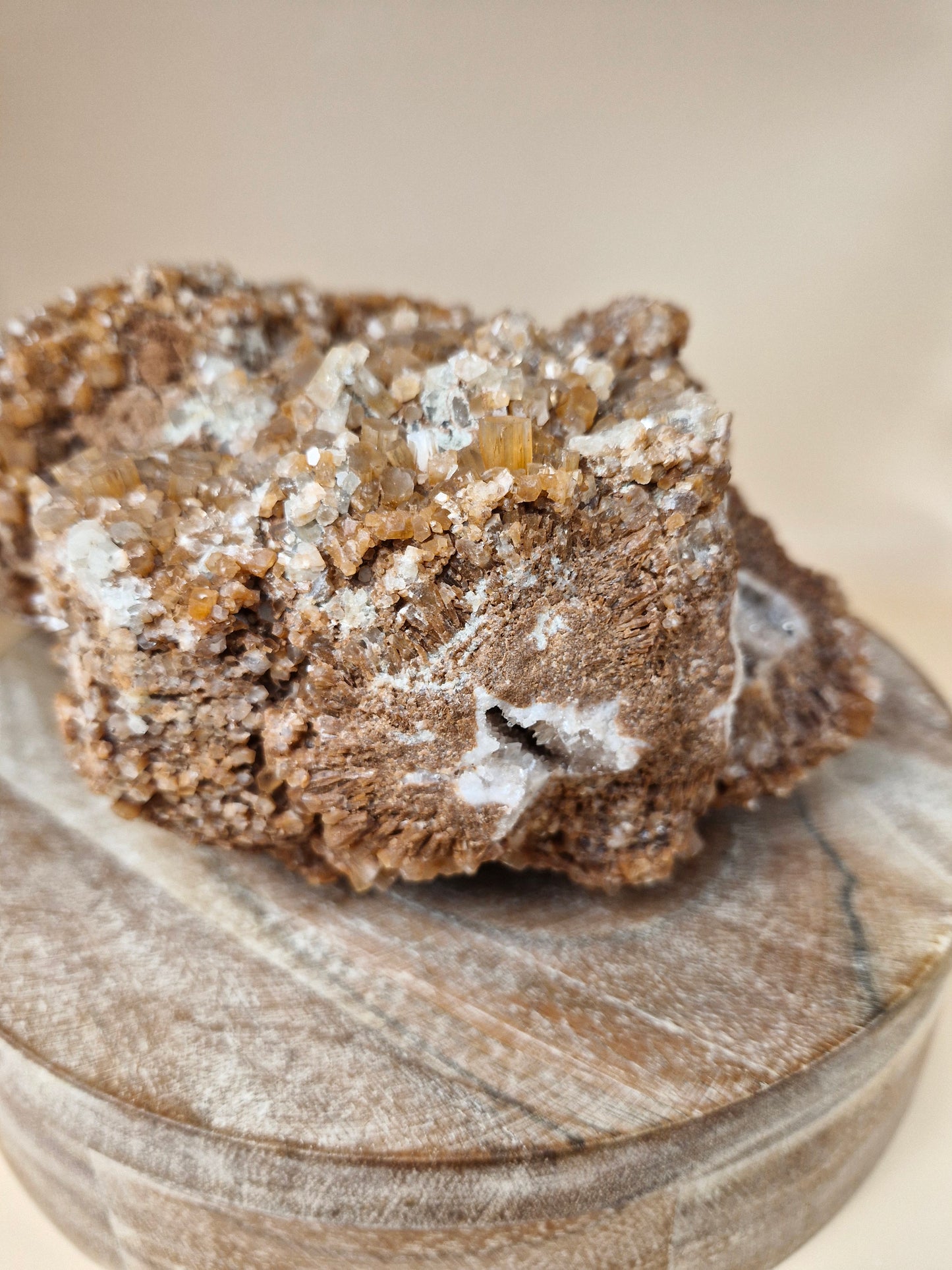 Jumbo Aragonite Sputnik