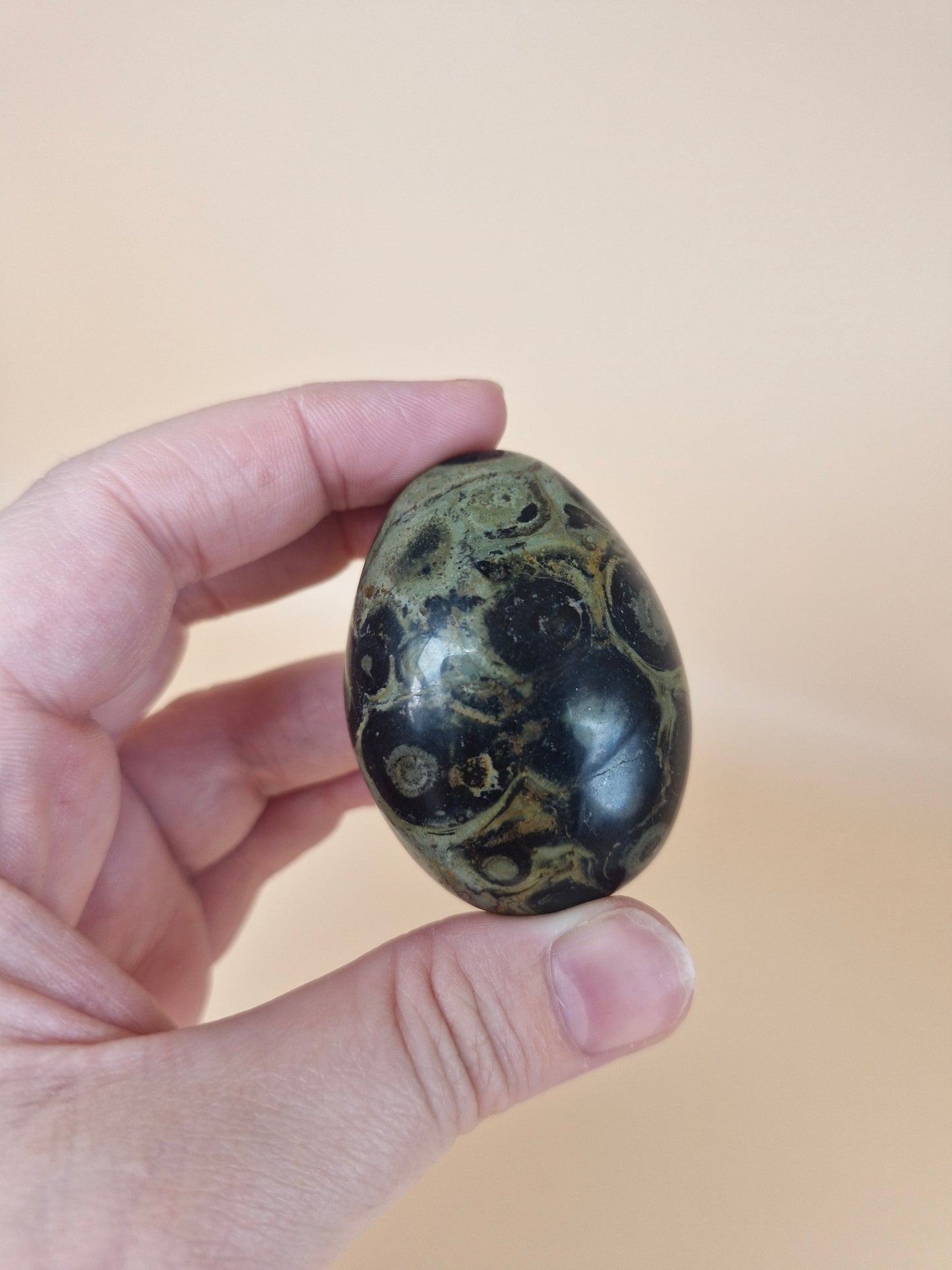 Kambaba Jasper Palm Stone (code A)