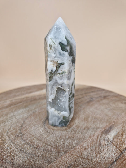 Moss Agate Point (code M7)